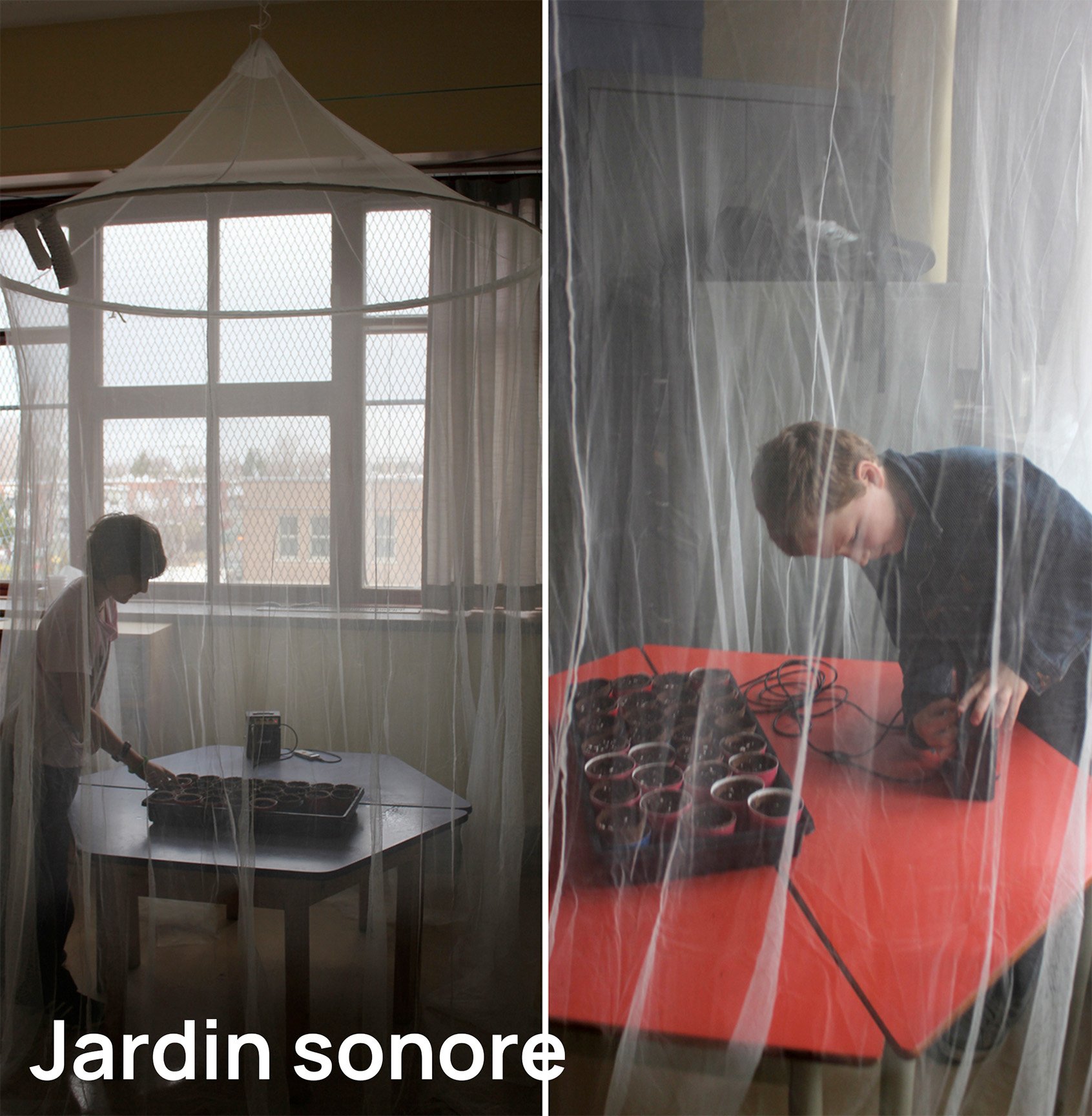 Deux personnes dans une pièce séparées par un rideau en plastique, chacune utilisant un ordinateur portable sur une table, avec des cupcakes ou de petits gâteaux en dessous. À l'arrière-plan, une grande fenêtre laisse entrer la lumière naturelle.