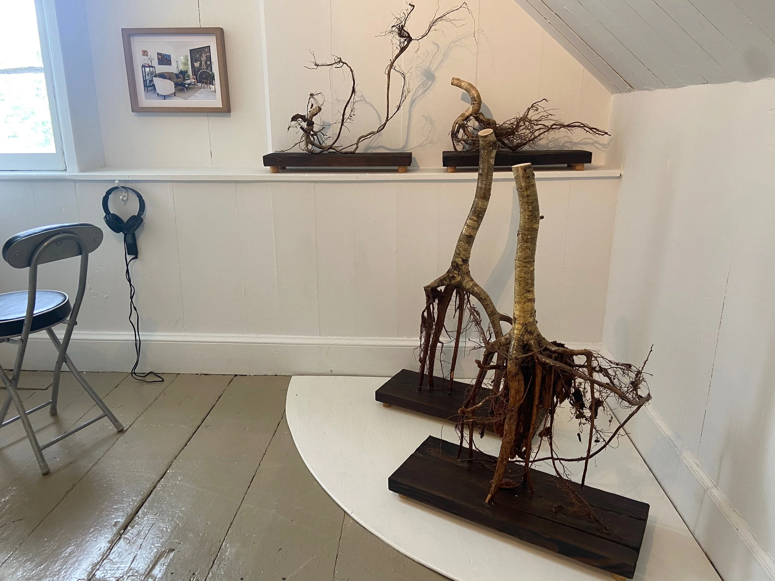 Exposition de racines et branches d'arbres artistiques dans une pièce avec tableau et fauteuil.