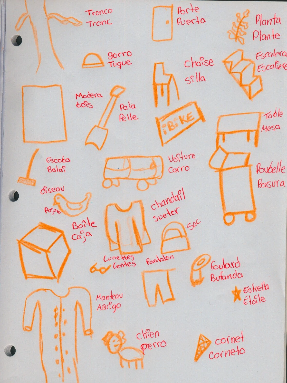 Dessin illustrant des objets et des concepts en français, comme un arbre, une porte, une chaise, une table, un vélo, un coffre, des vêtements, un chien, un peigne, un casque, une chaussure, une brosse, un sac, un manteau, un foulard, une étoile, un c