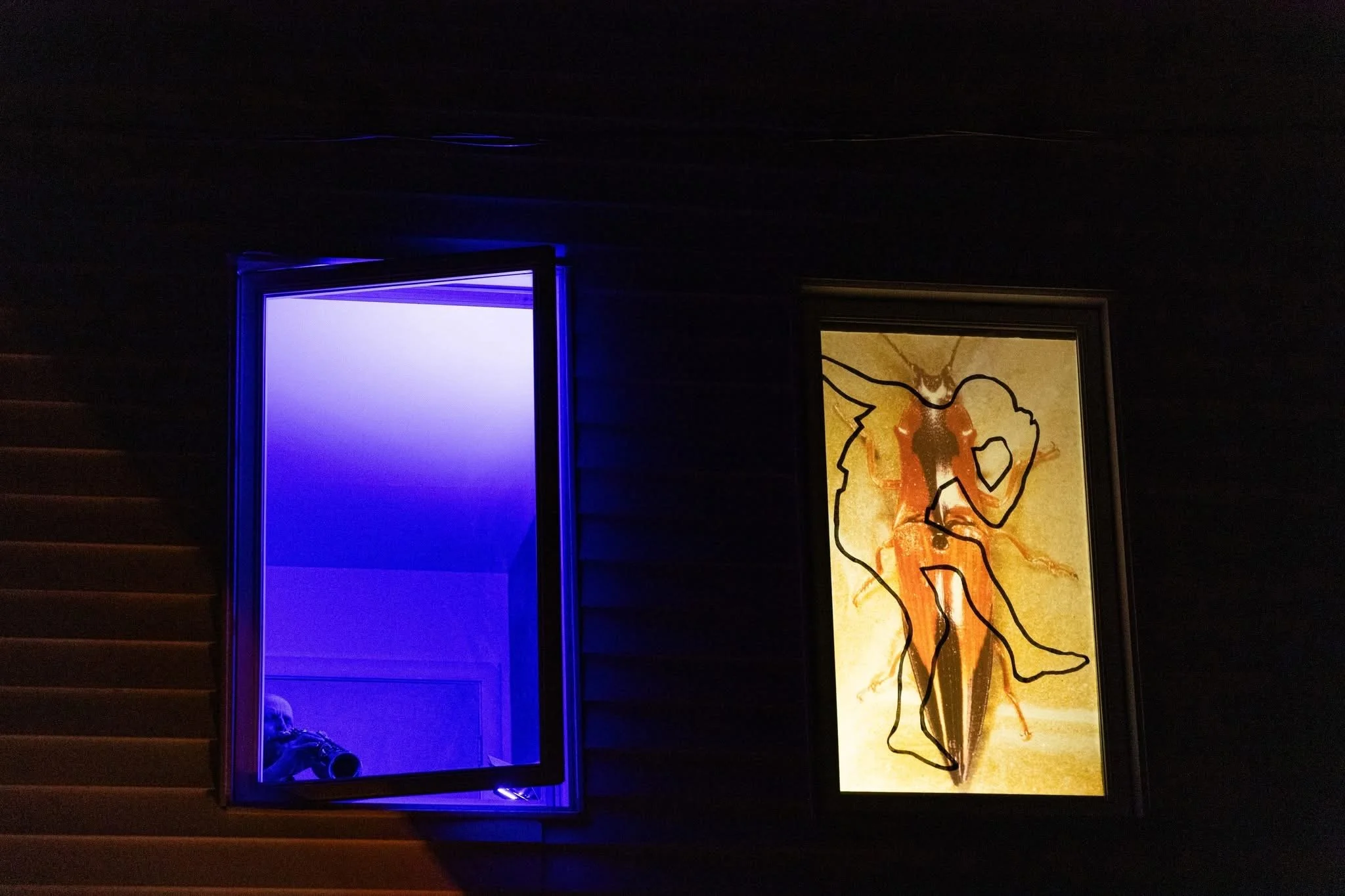 Une fenêtre éclairée en bleu et une autre avec une illustration d'une créature ailée et humanoïde dans un cadre lumineux.