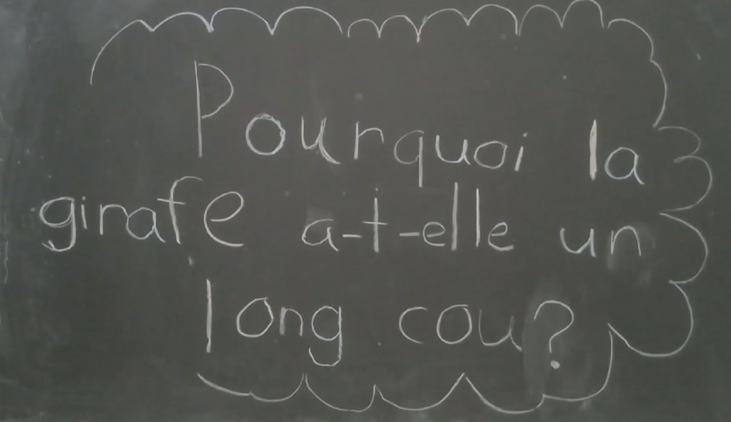Écriture sur un tableau noir demandant pourquoi la girafe a-t-elle un long cou.