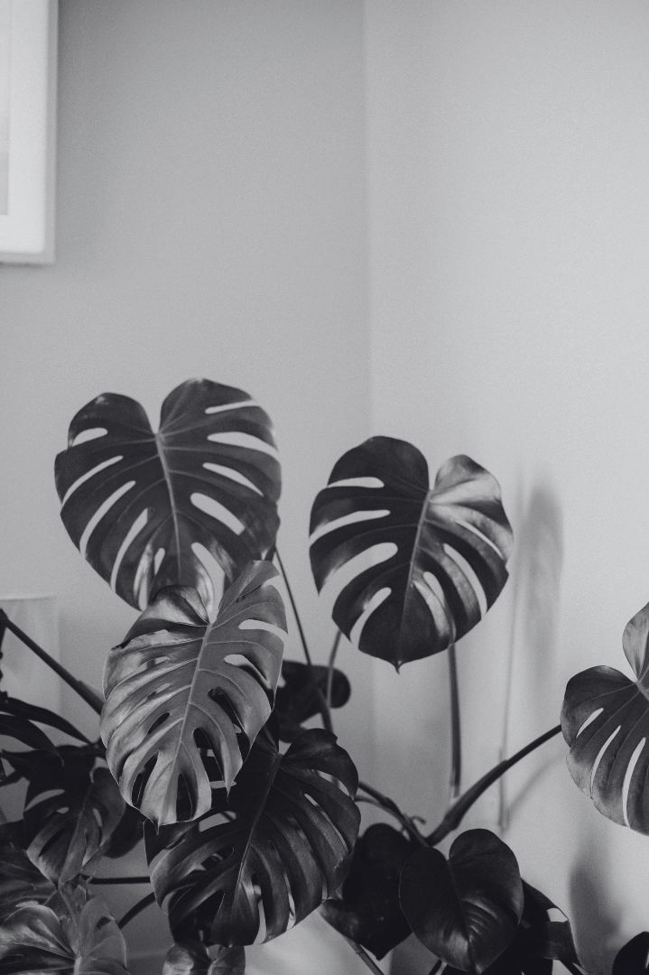 Oak and Glow Med Spa  Medspa in Durham, NC, 27701  Botox, Fillers, Facials