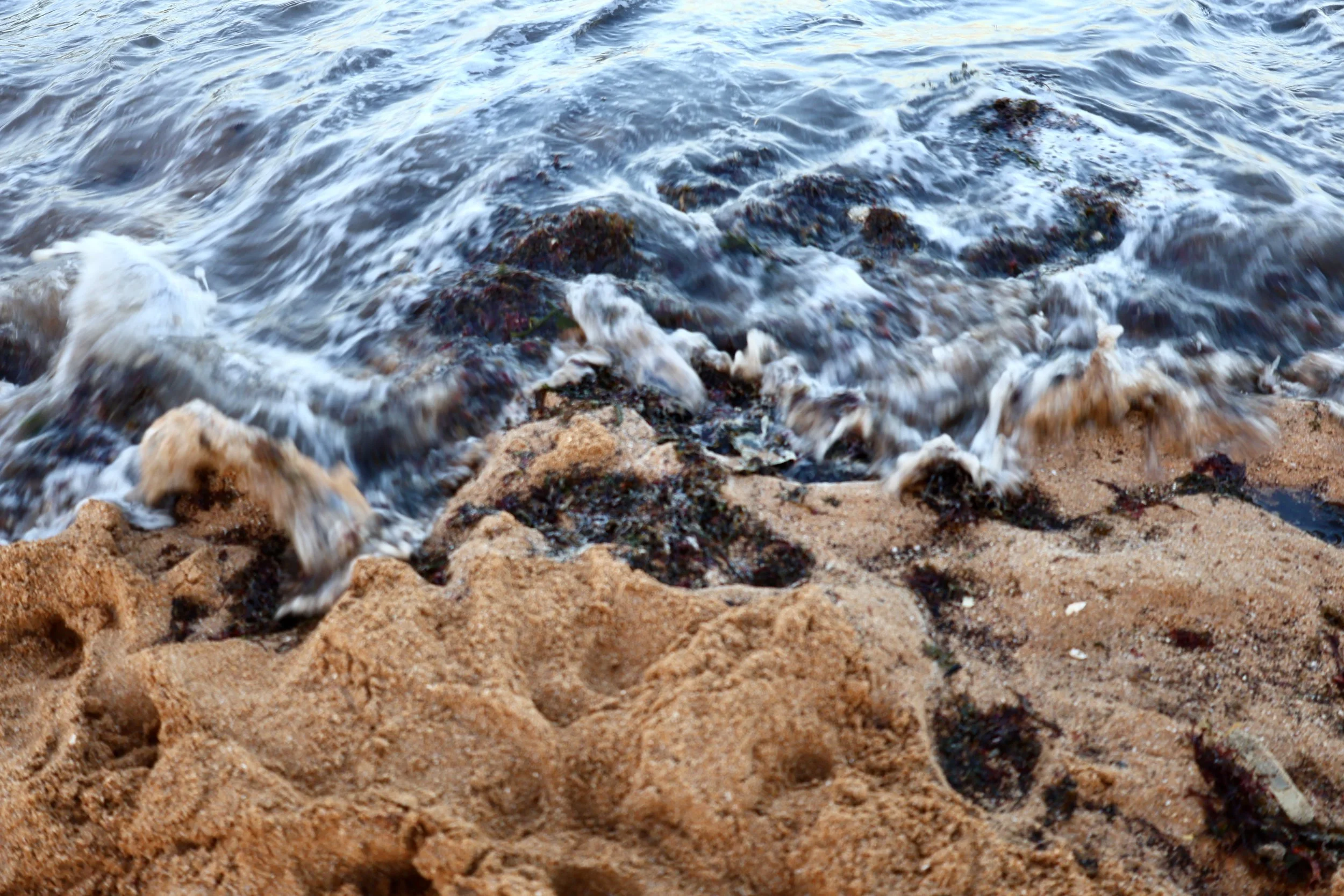  Long-exposure photograph of ocean waves moving over textured sandstone and dark seaweed on a shoreline