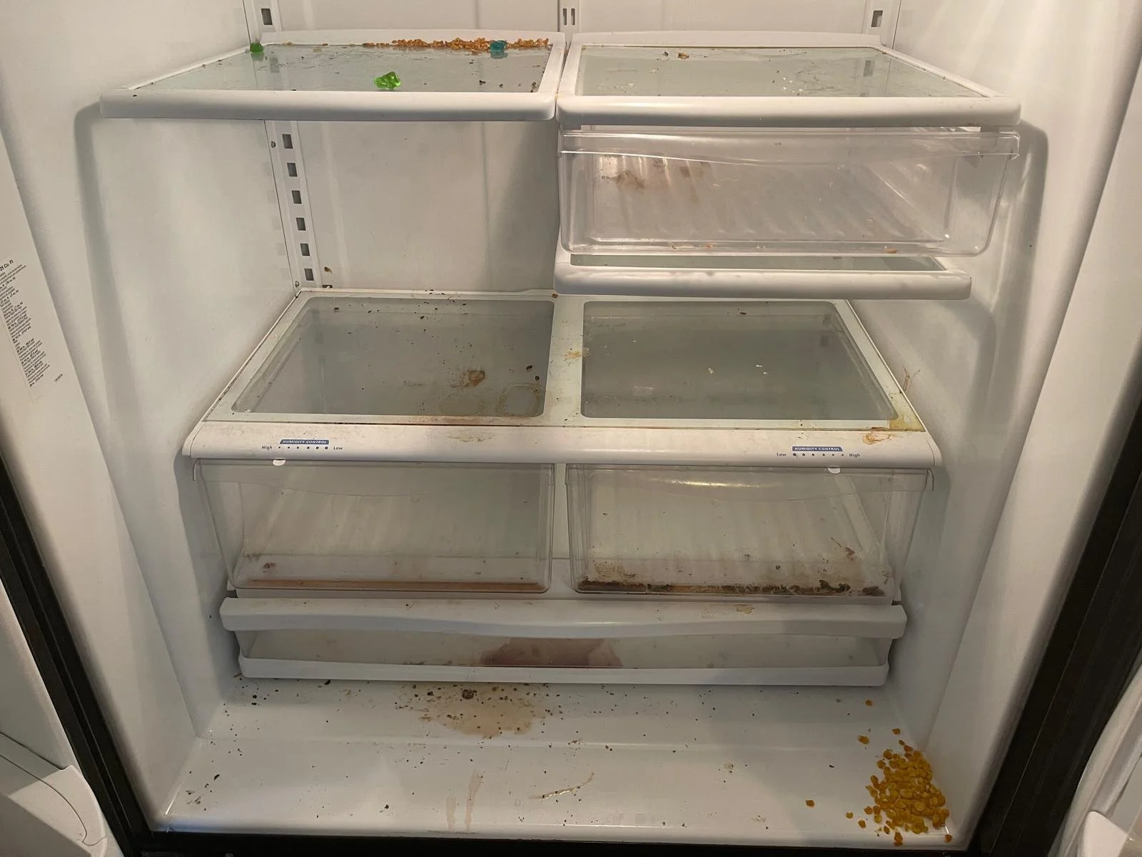 PHOTO-2025-04-09-11-22-35 2.jpeg