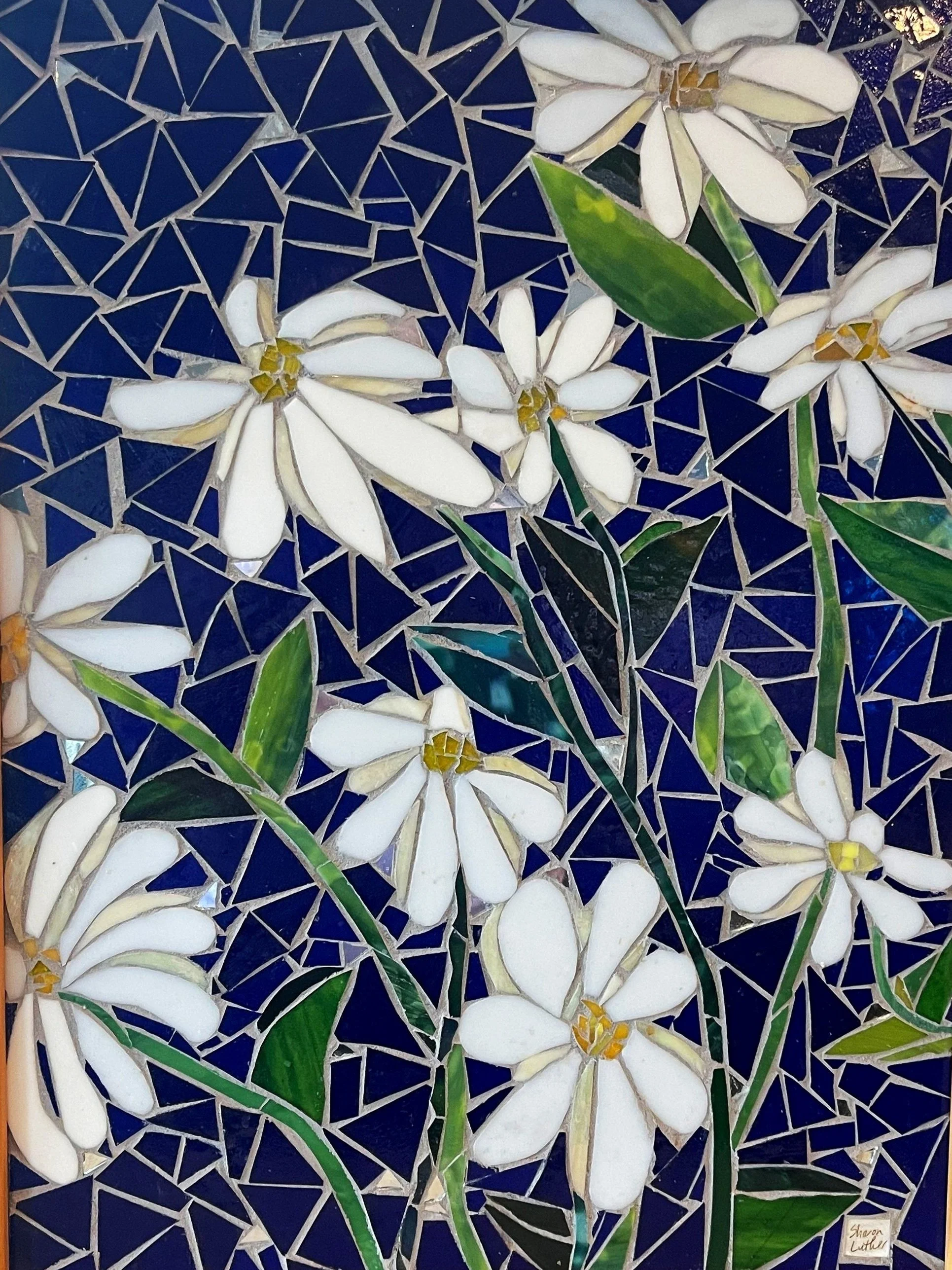 NFS
Evening Daisies
20x22