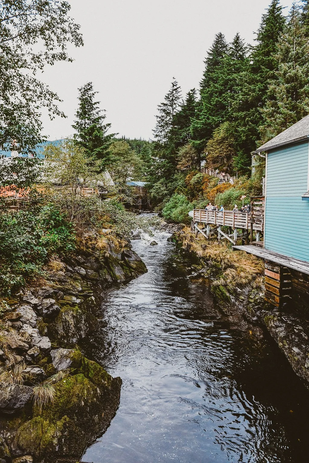 DSC_0411.jpg