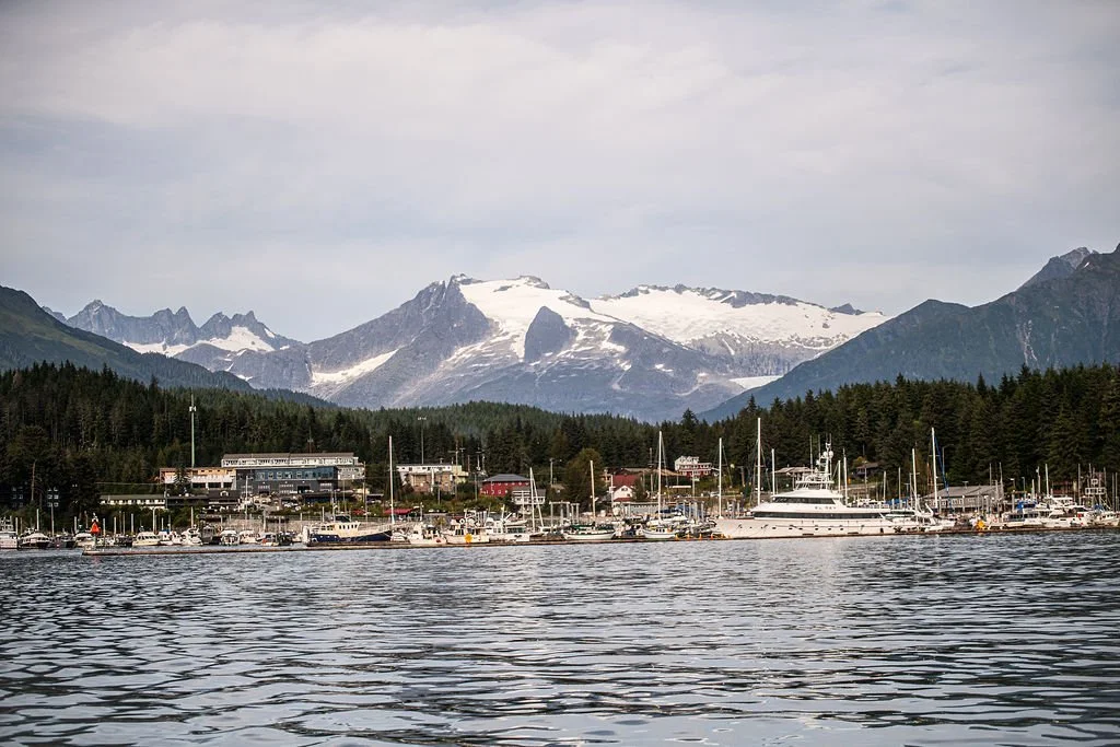 DSC_8258.jpg