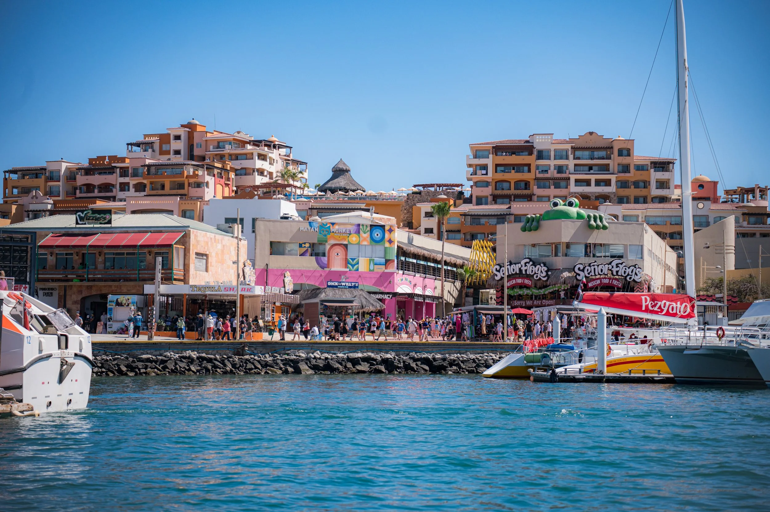 bajavibes-08.jpg