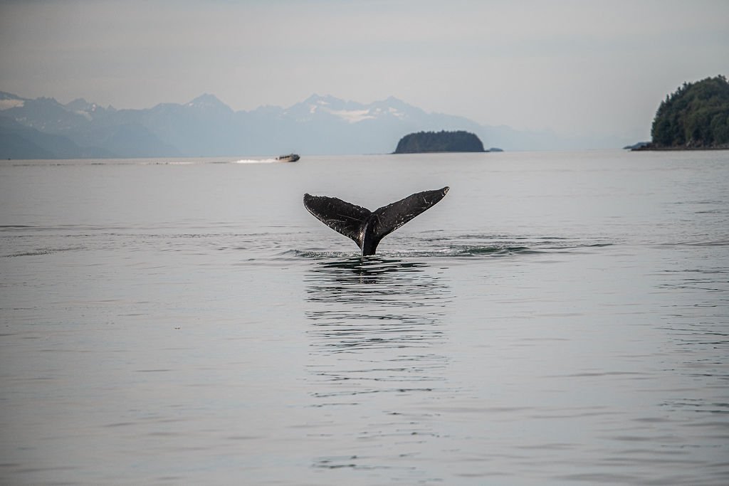 DSC_8368.jpg