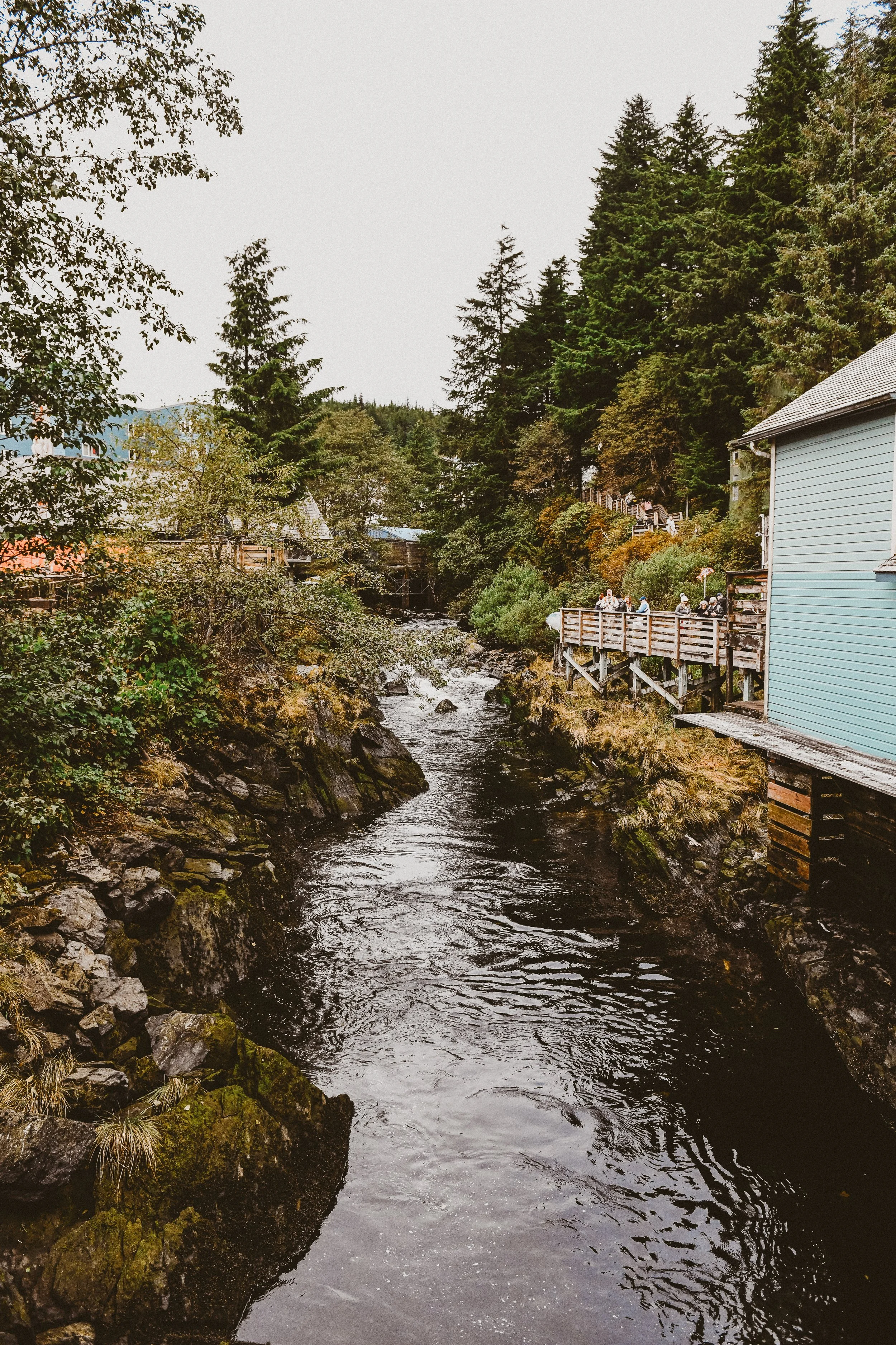 Klei Alaska portweb.jpg