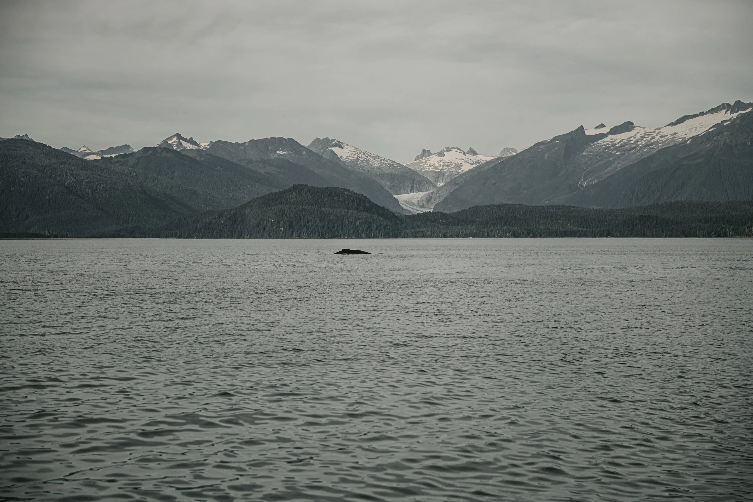 Klei Alaska portweb-9.jpg