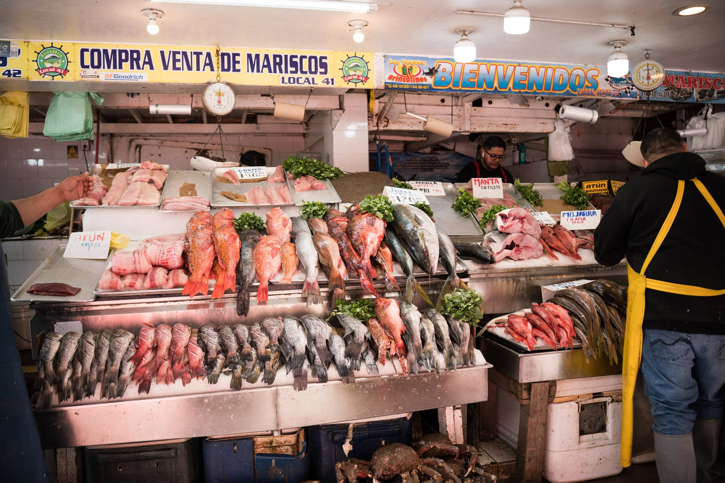 bajavibes-19.jpg