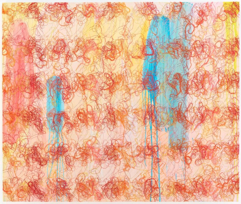 GHADA AMER
Unfriending Camelia , 2011