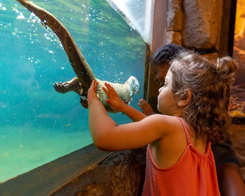 April Frontier Day - Option 1: High Desert Museum