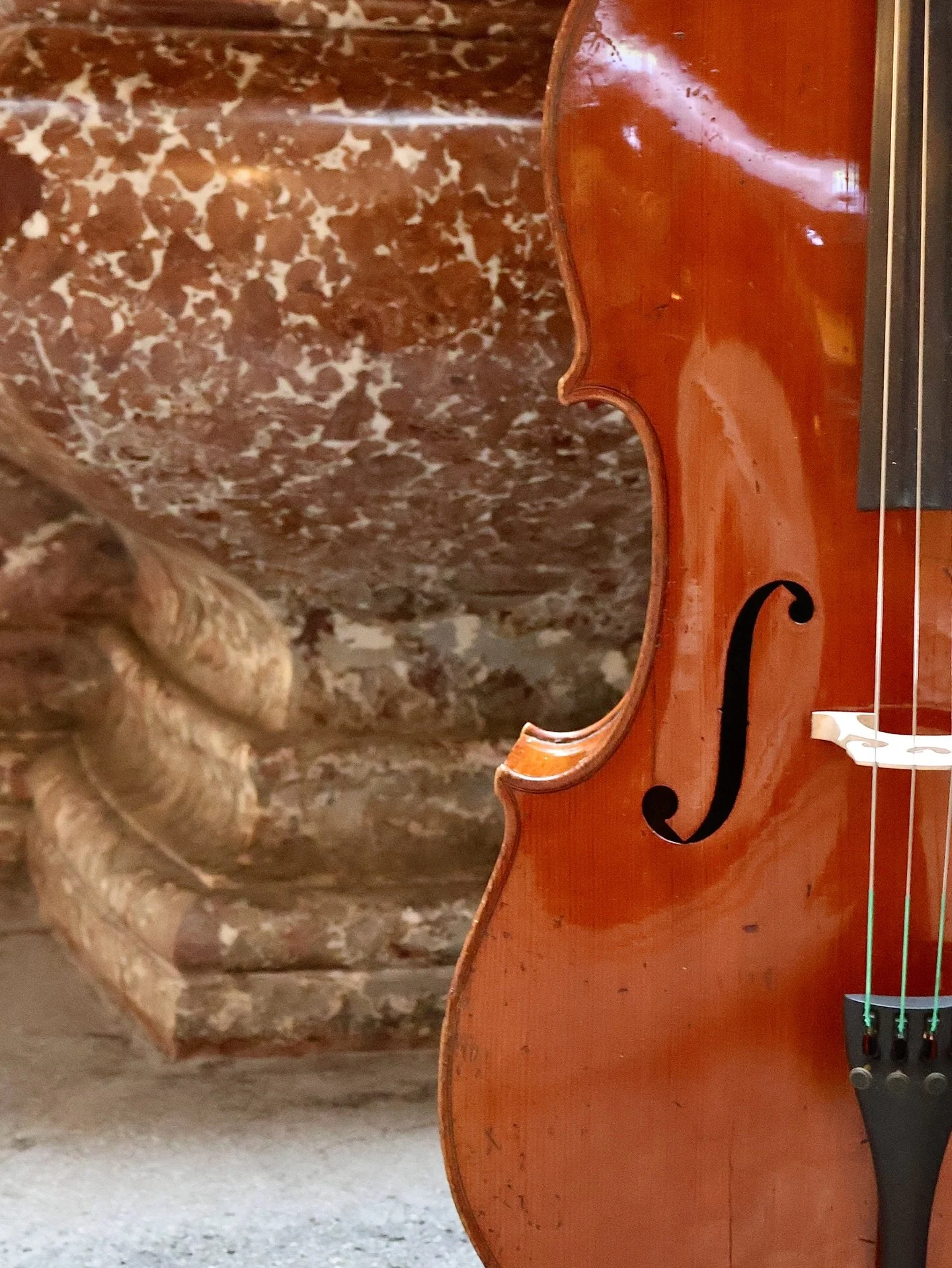 A cello labeled Jul. Heinrich Zimmermann, Leipzig, early 20th century 🎻

Julius Heinrich Zimmermann wasn&rsquo;t a single maker, but a renowned publisher and dealer whose workshops brought together skilled German craftsmen. Instruments like this wer