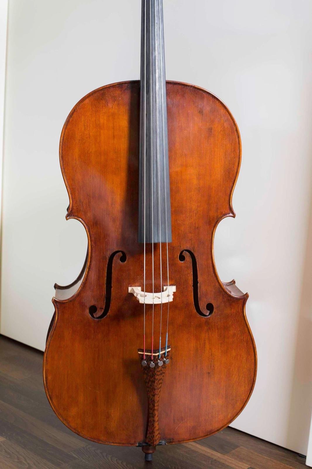Martino Raggi Cello, 2010