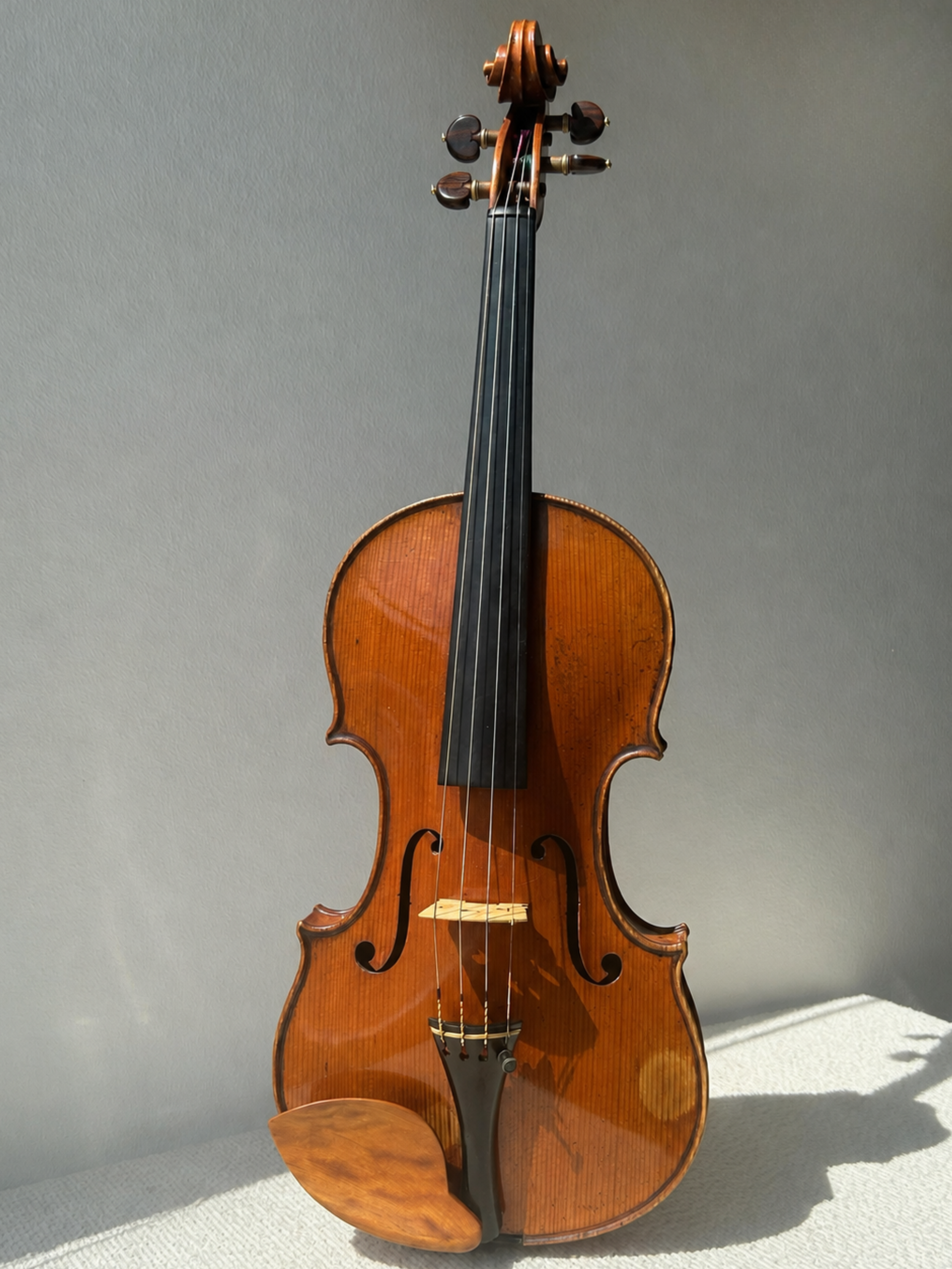 Giuseppe Pedrazzini Violin, 1909
