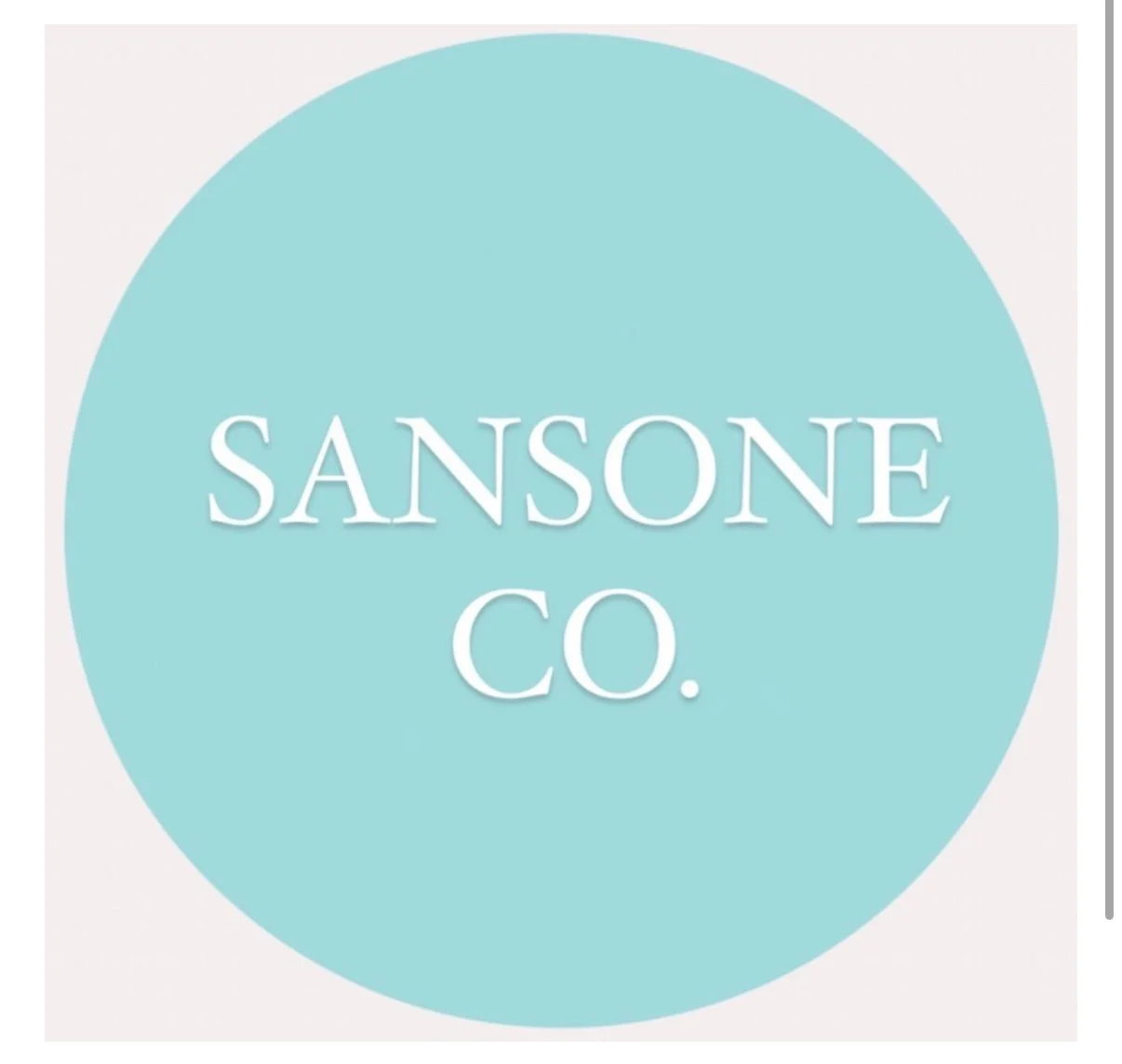 maria sansone, sansone co.