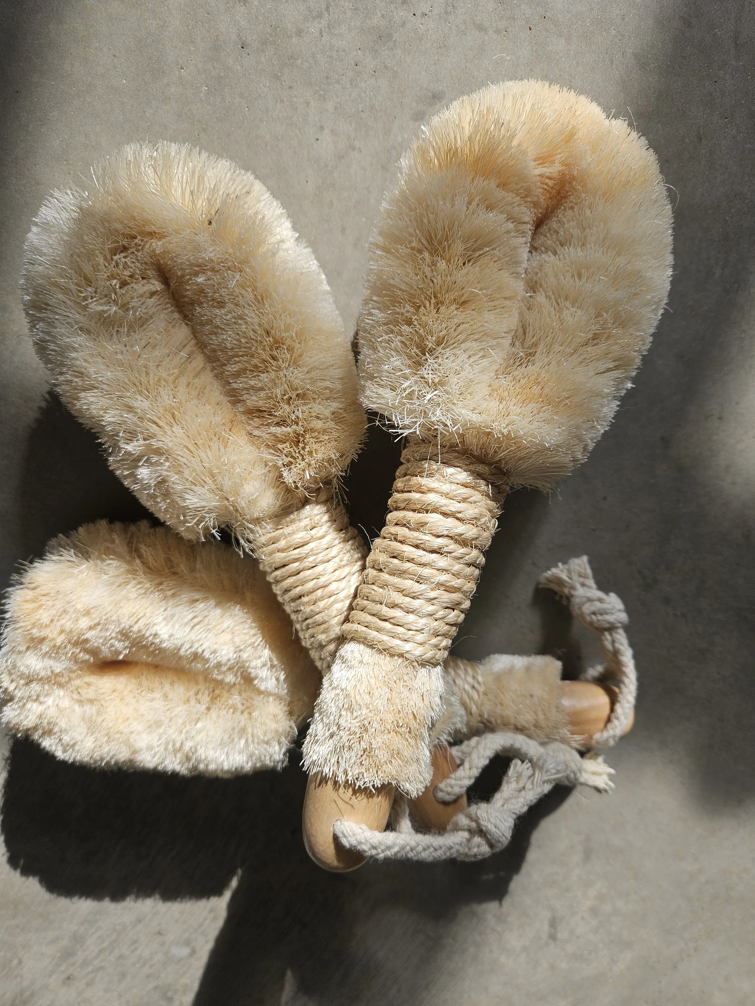 Dry Body Brush