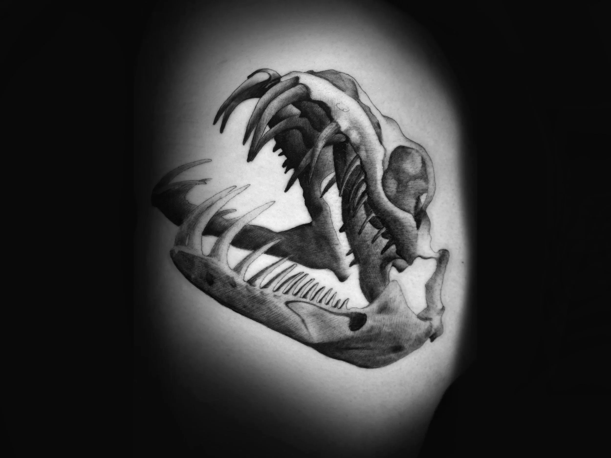 Tattoo shop Marietta GA