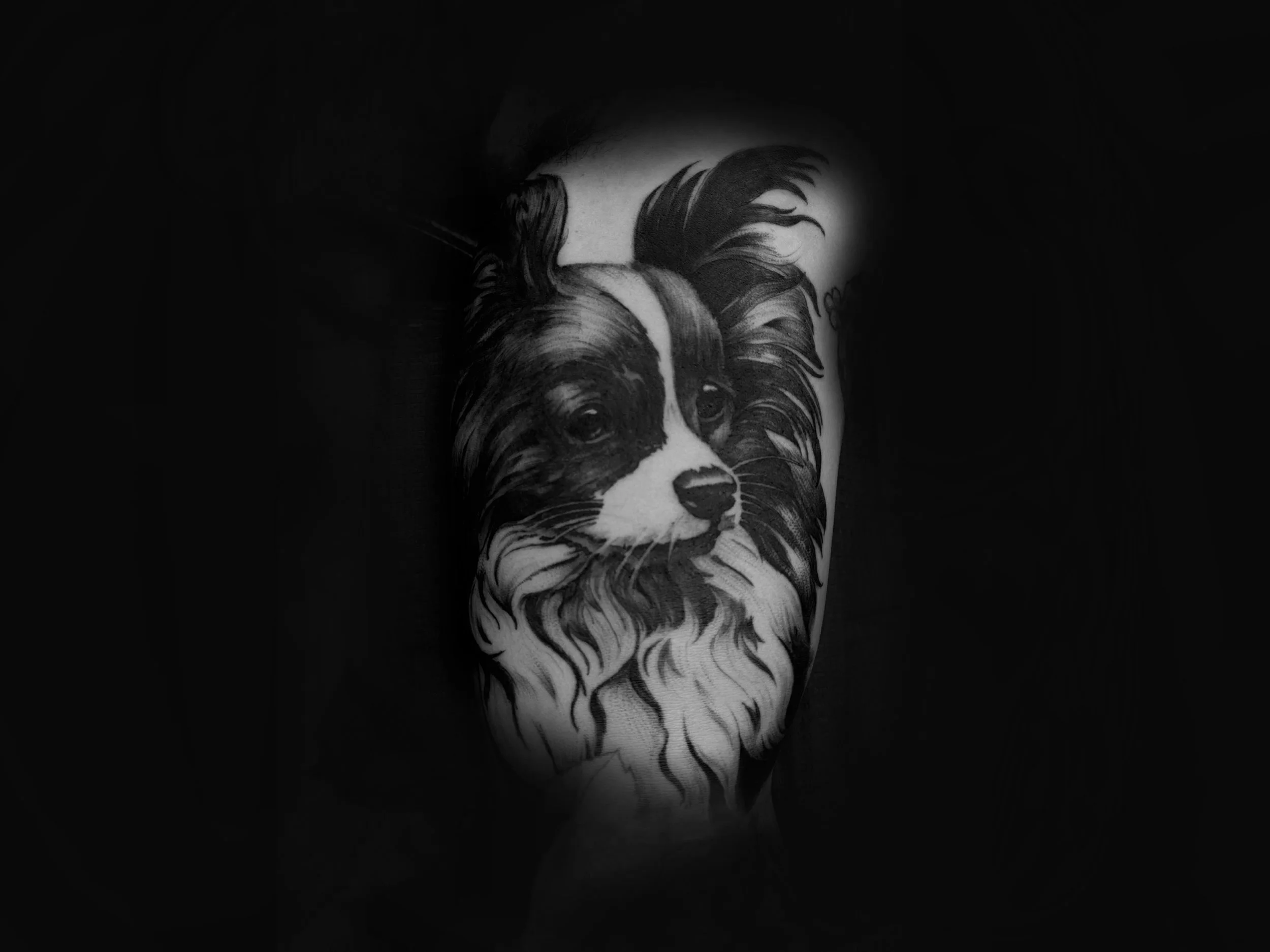 Marietta tattoo studio