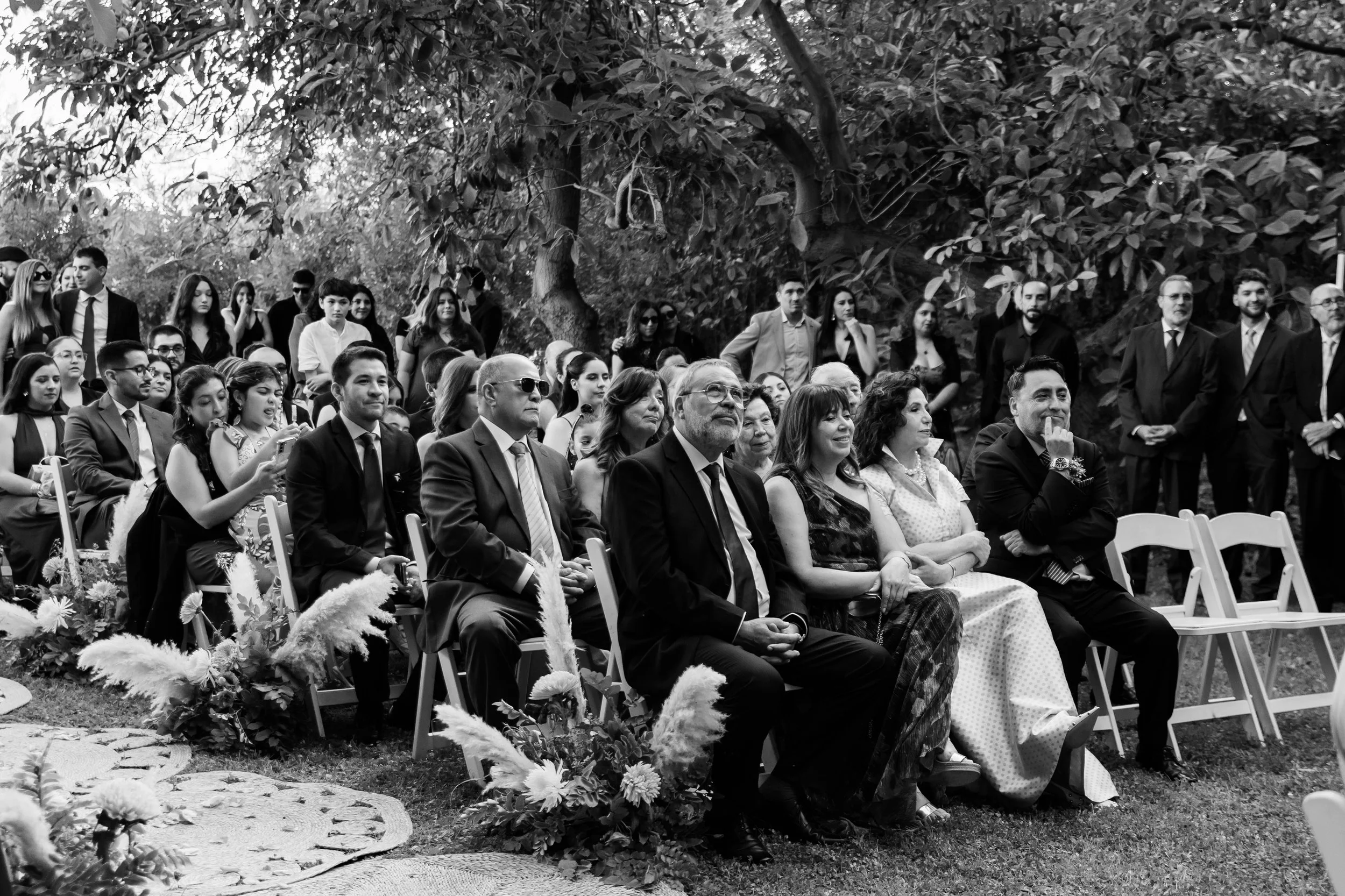 Schulz-070326184929-P&J.jpg