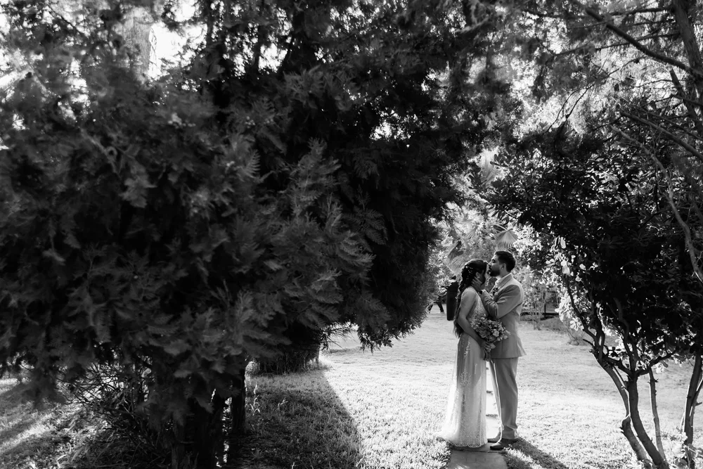 Los novios bajo un árbol enorme, en blanco y negro