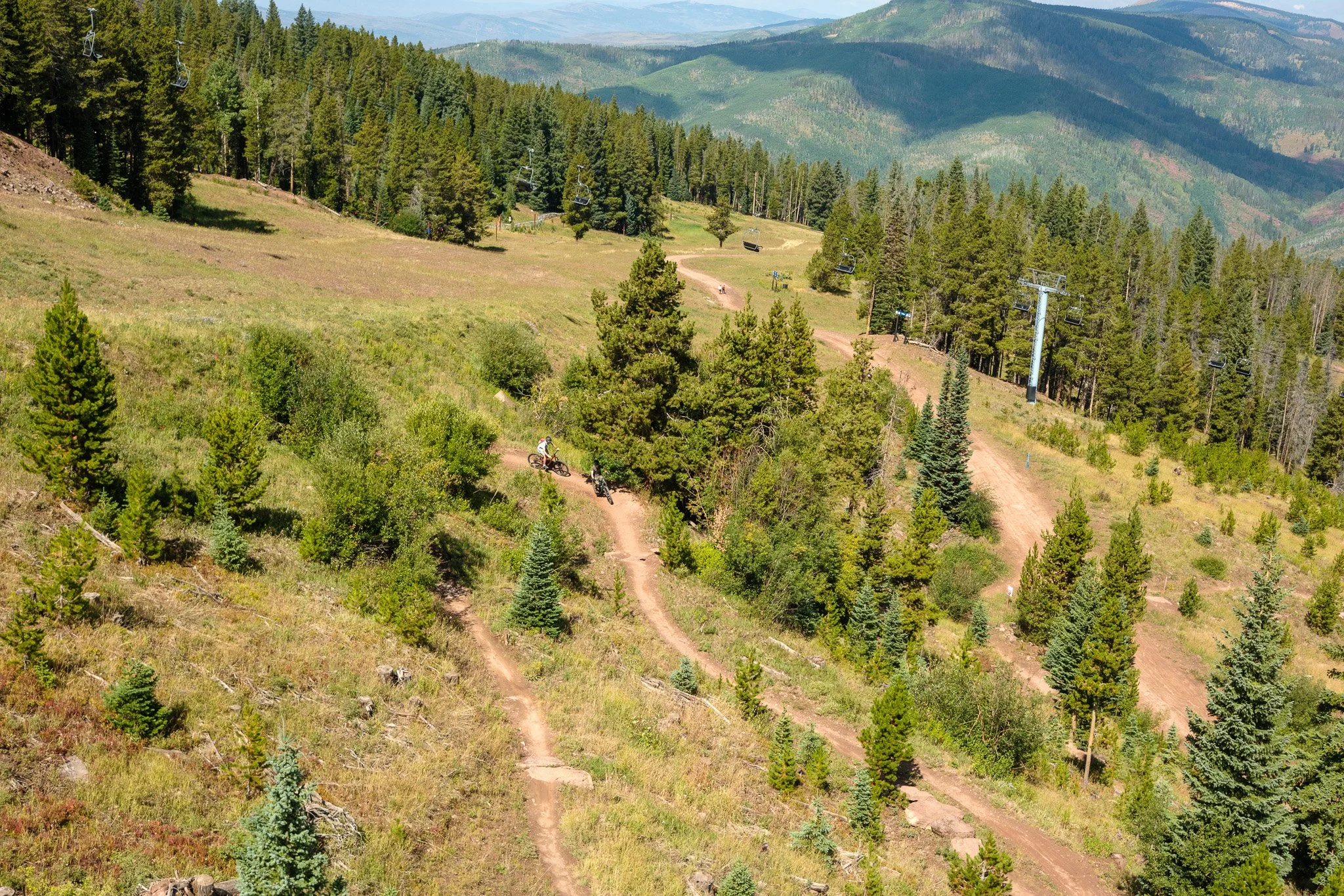 Two mountain bikers going down a singletrack on Vail Mountain.