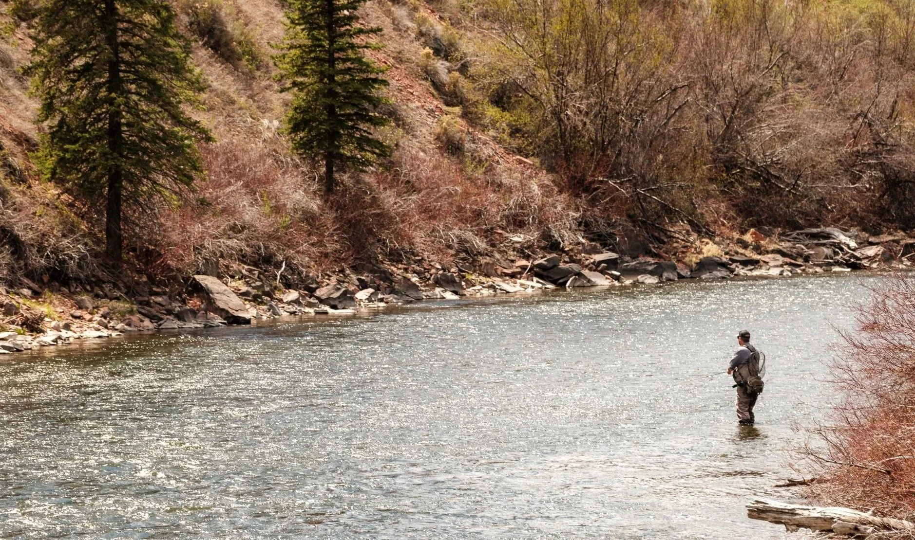Fly fisherman in Eagle River during April in the Vail Valley.