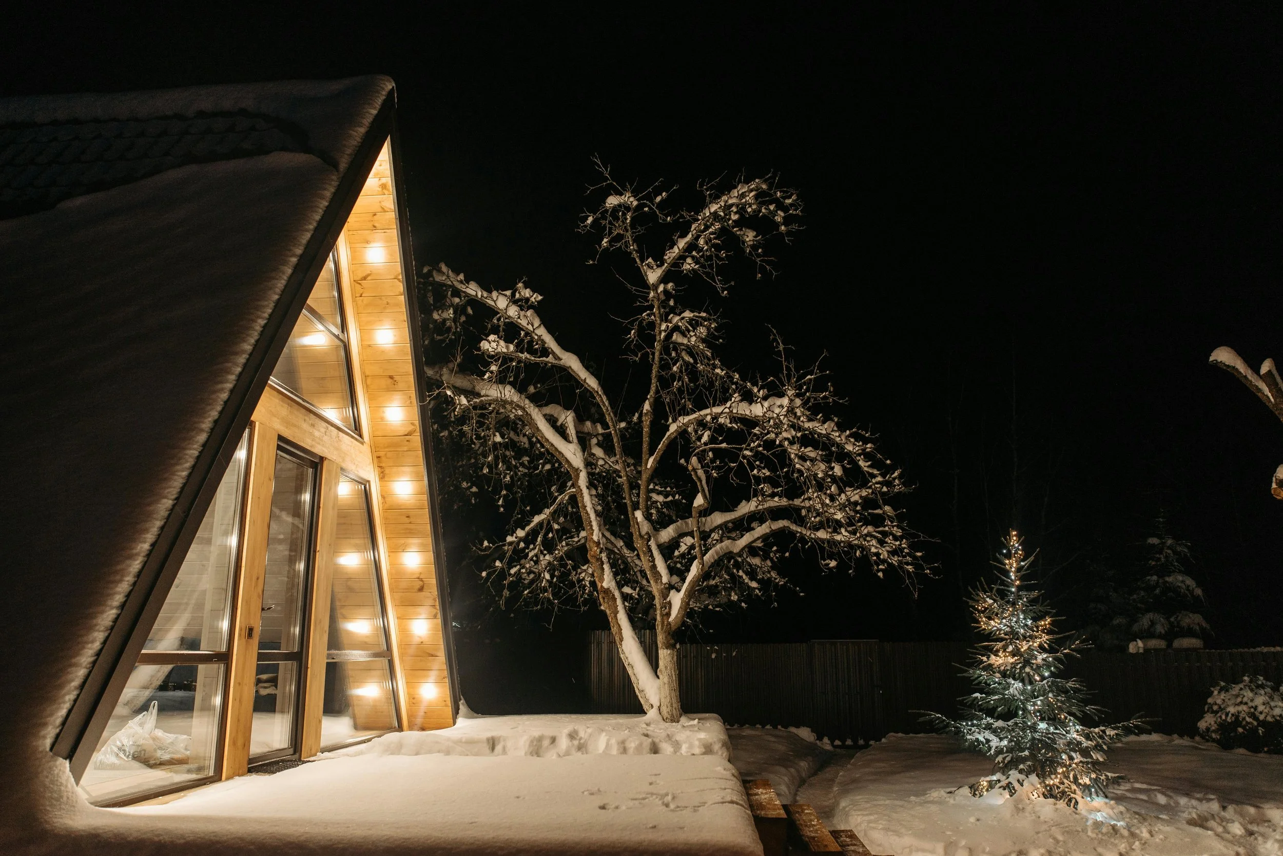 Snow-covered backyard at night with a decorated lit Christmas tree, a leafless snow-covered tree, and a house with large windows and exterior lights.