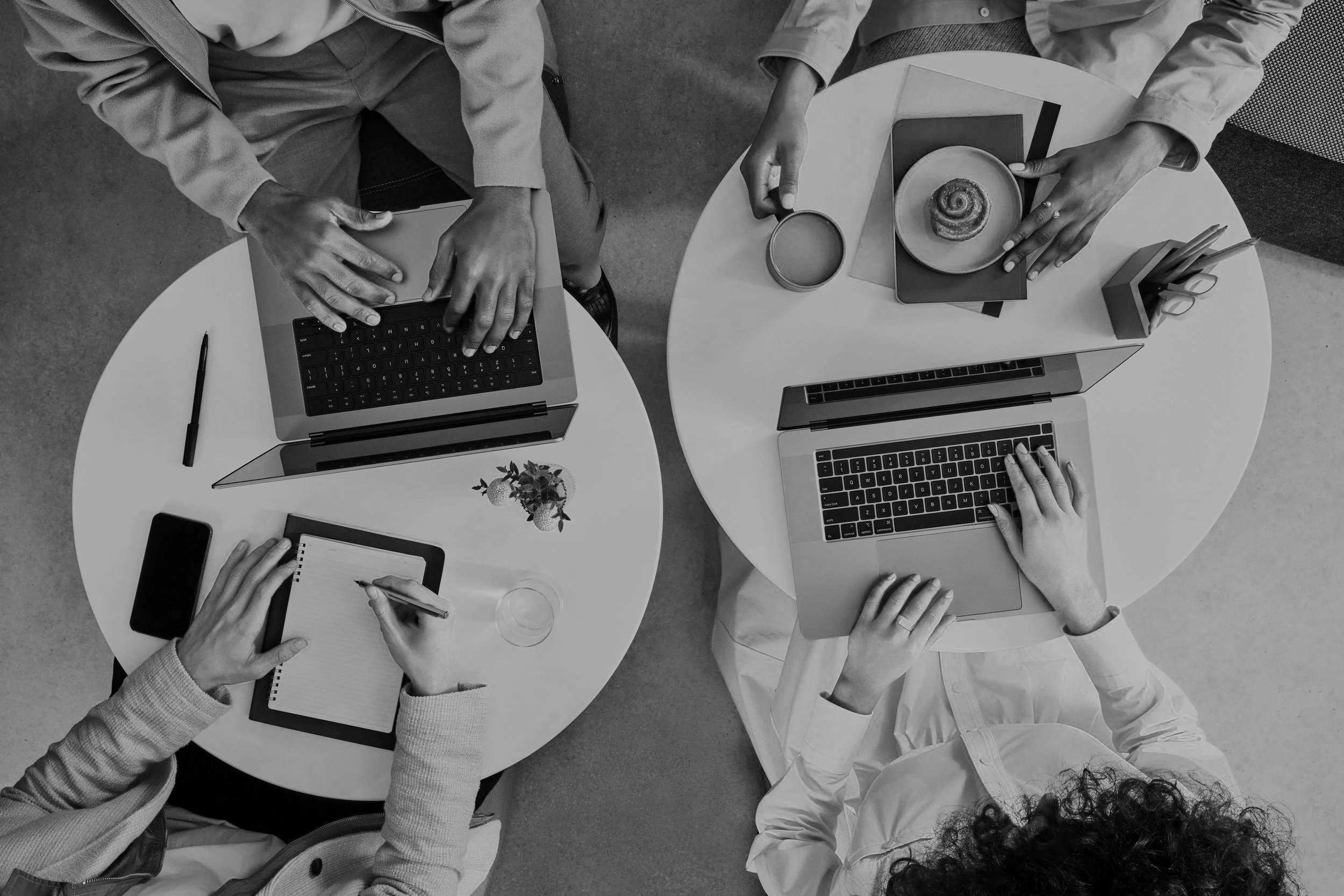 Business team project management, staff development, scaling a business and maximising profit