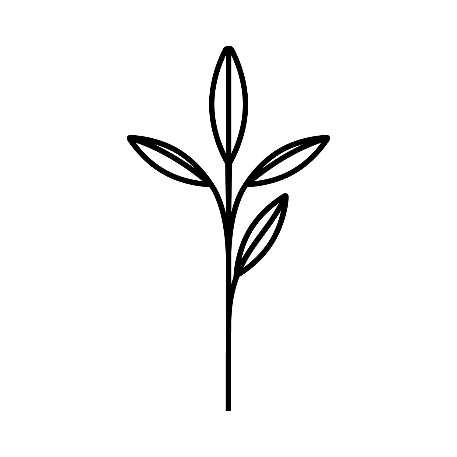 LOGO_EXAMPLES_7:31:263.png