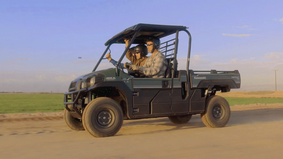 mule2.gif