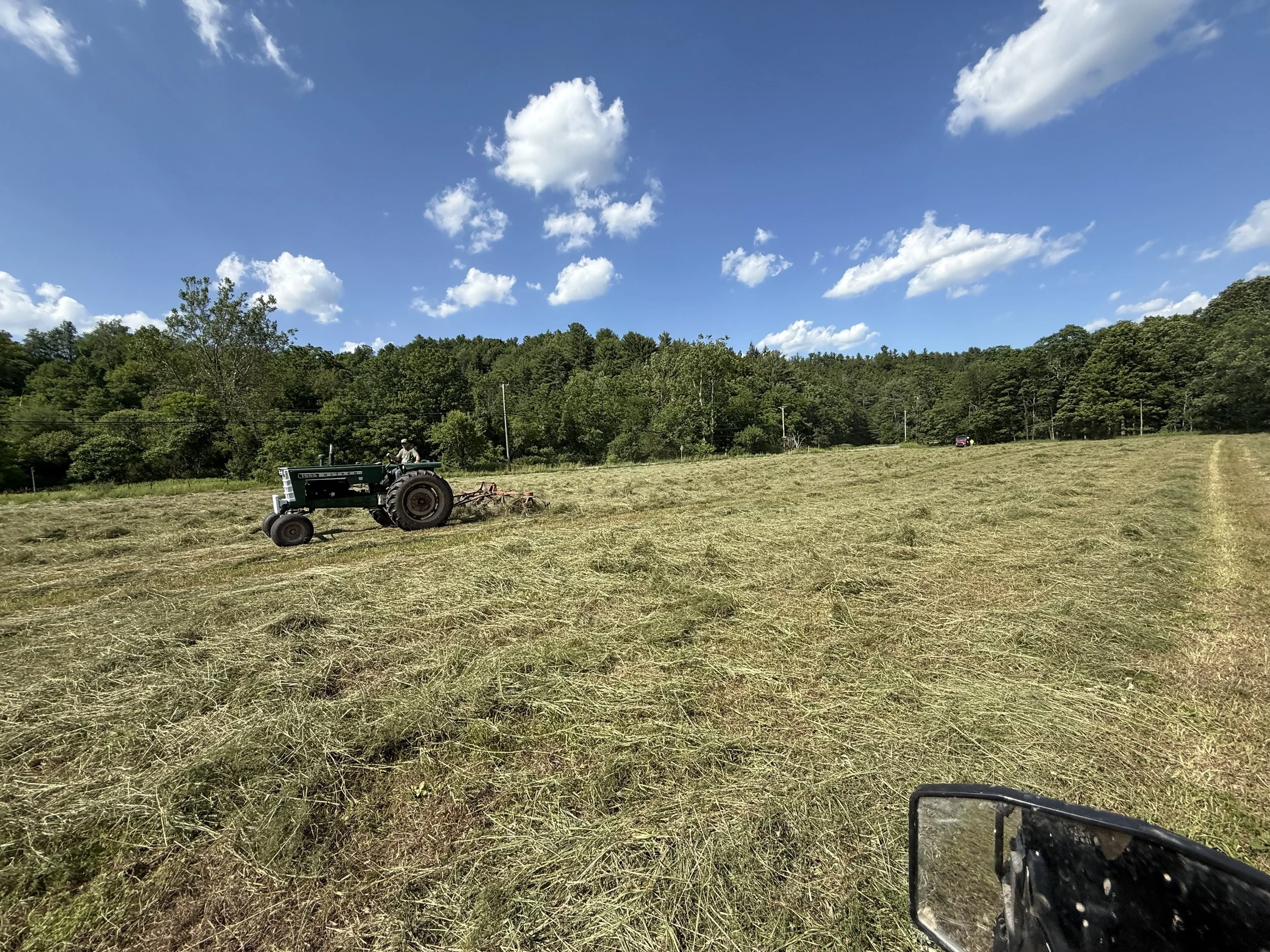 Haymaking in the fields at Resilient Roots Farm