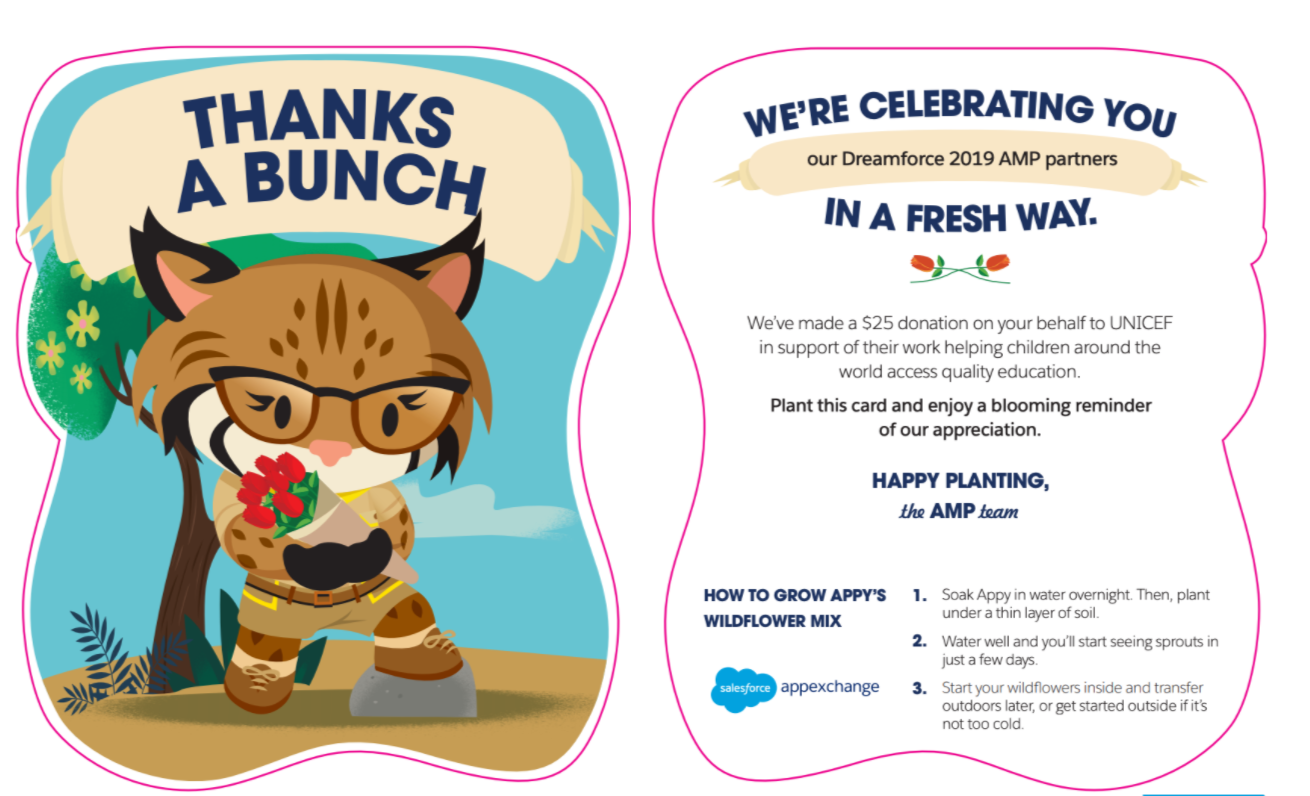 Salesforce - AppExchange Marketing Program partner gifts