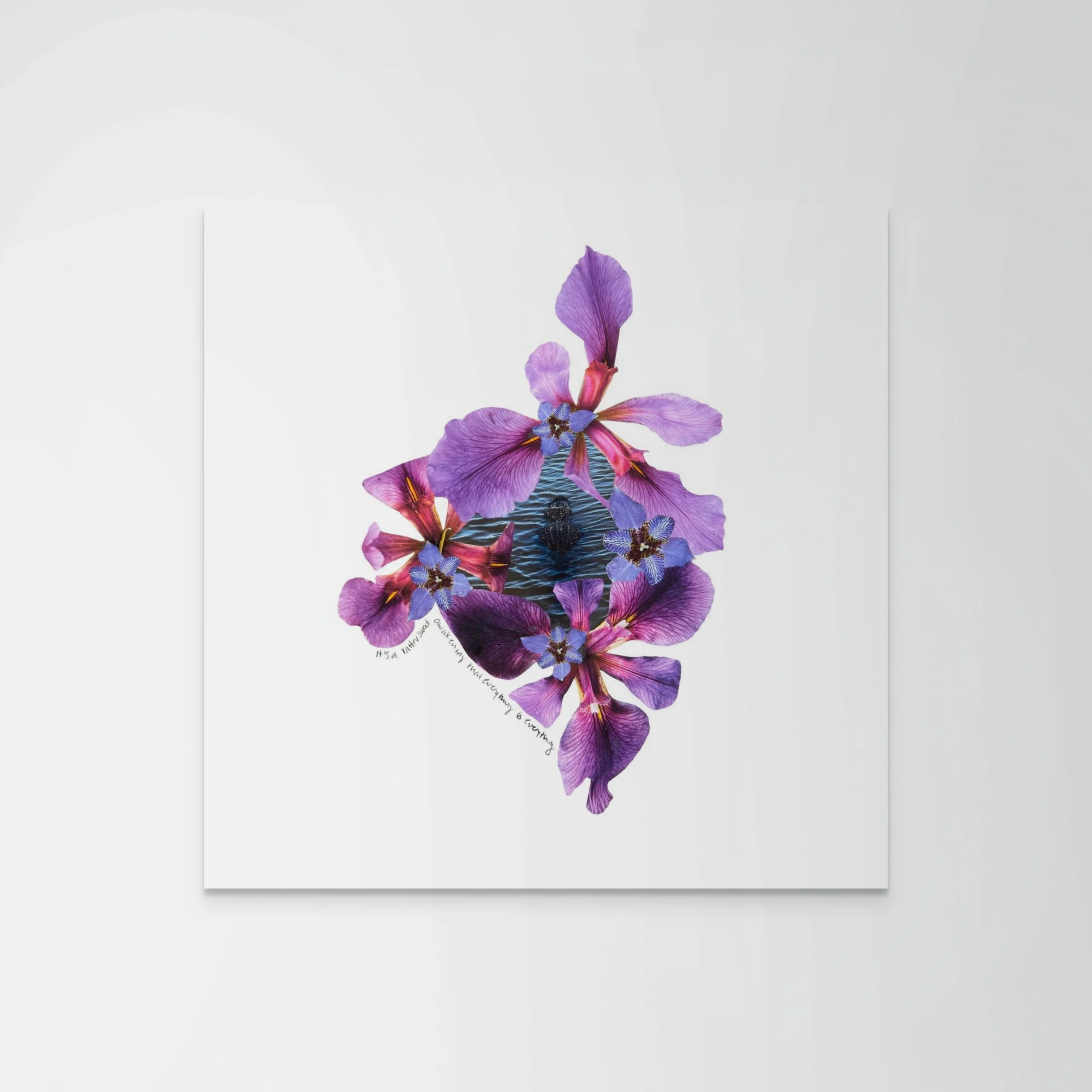 everythingiseverything2sq8x8-full.jpg