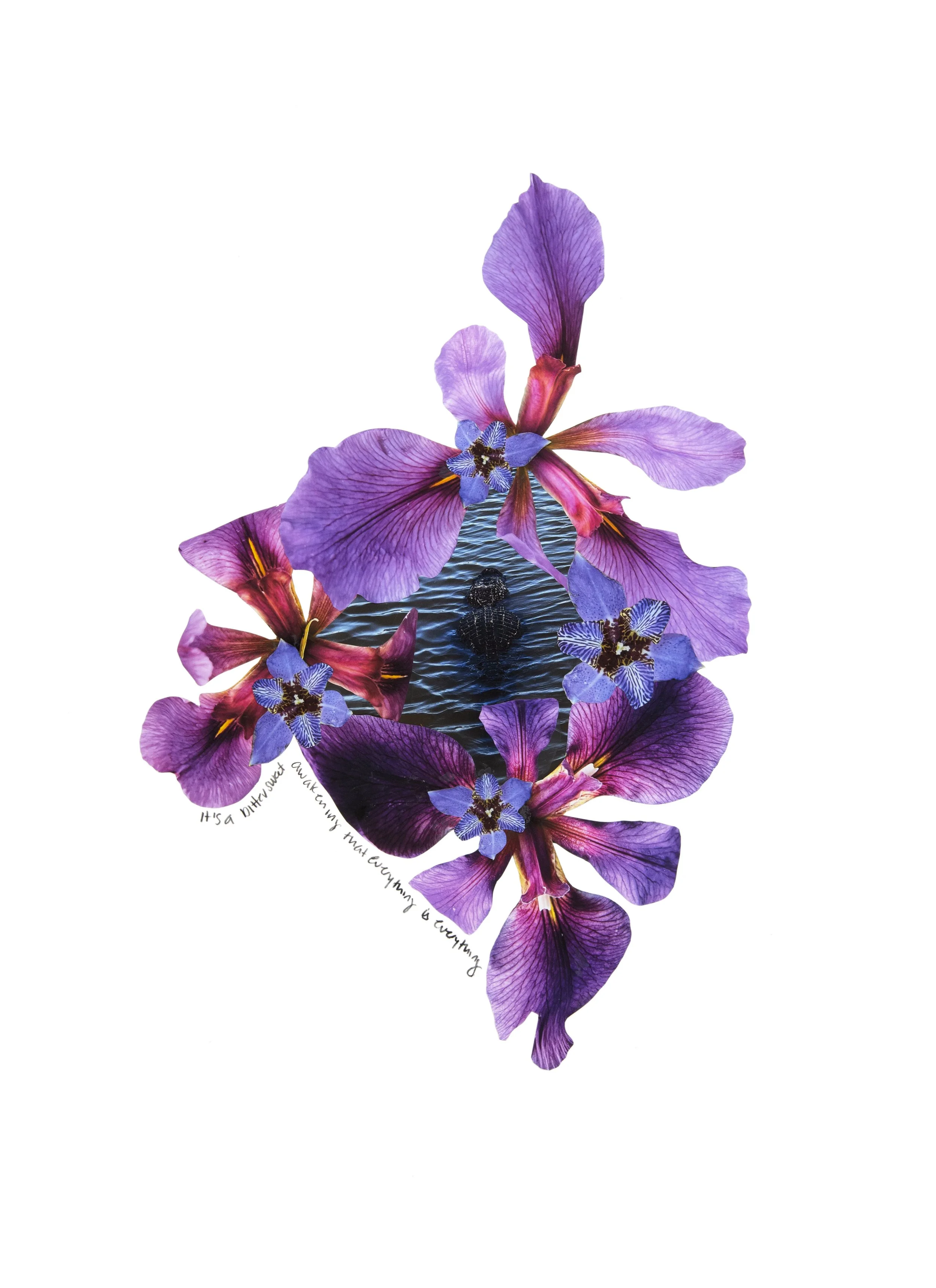 Louisiana Rorschach, 2025 | Hand-cut Collage on Archival Paper | Lyrics from the song Everything is Everything by Ballroom Thieves | 18"x24" Framed SOLD