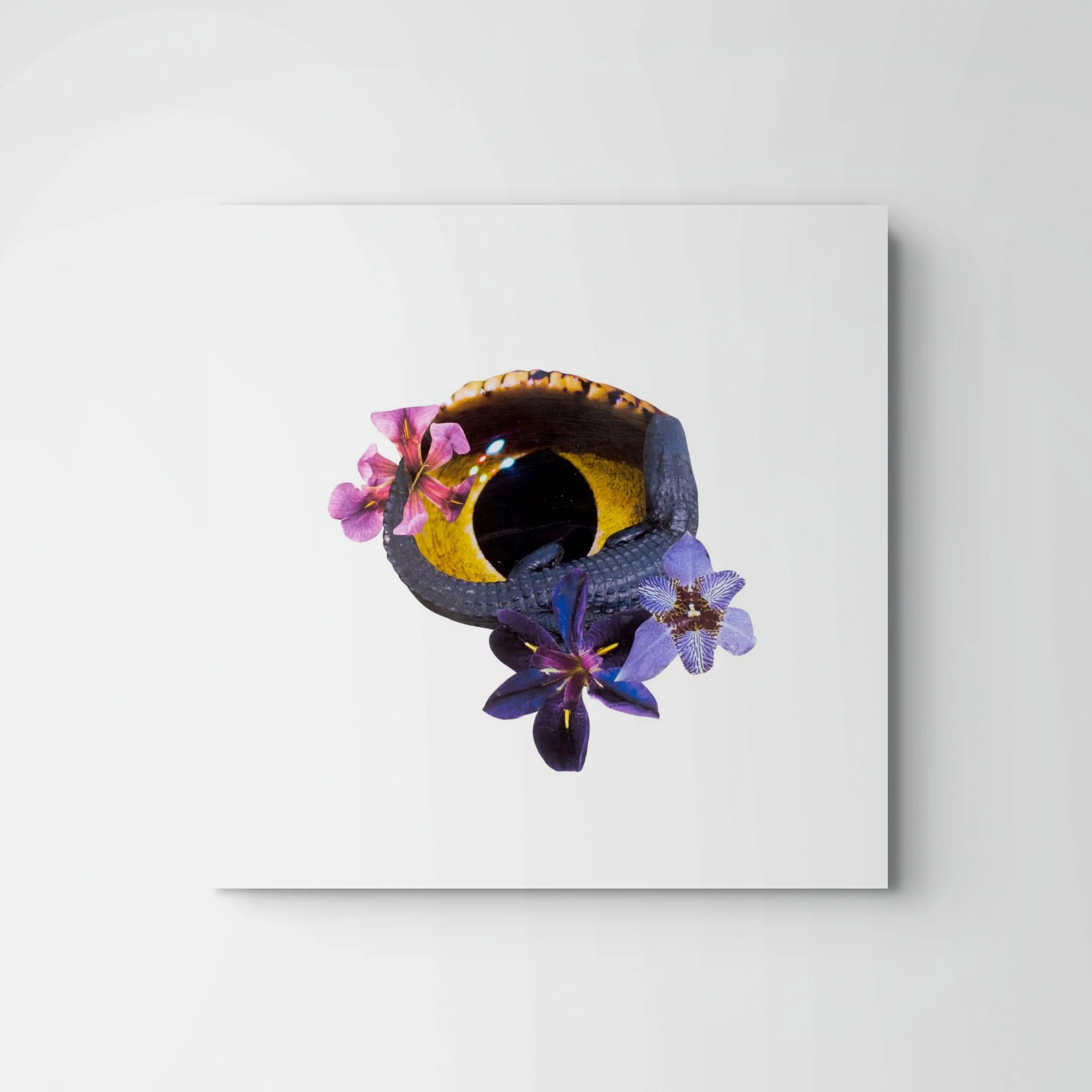 Louisiana Rorschach #2 | Open Edition Archival Print