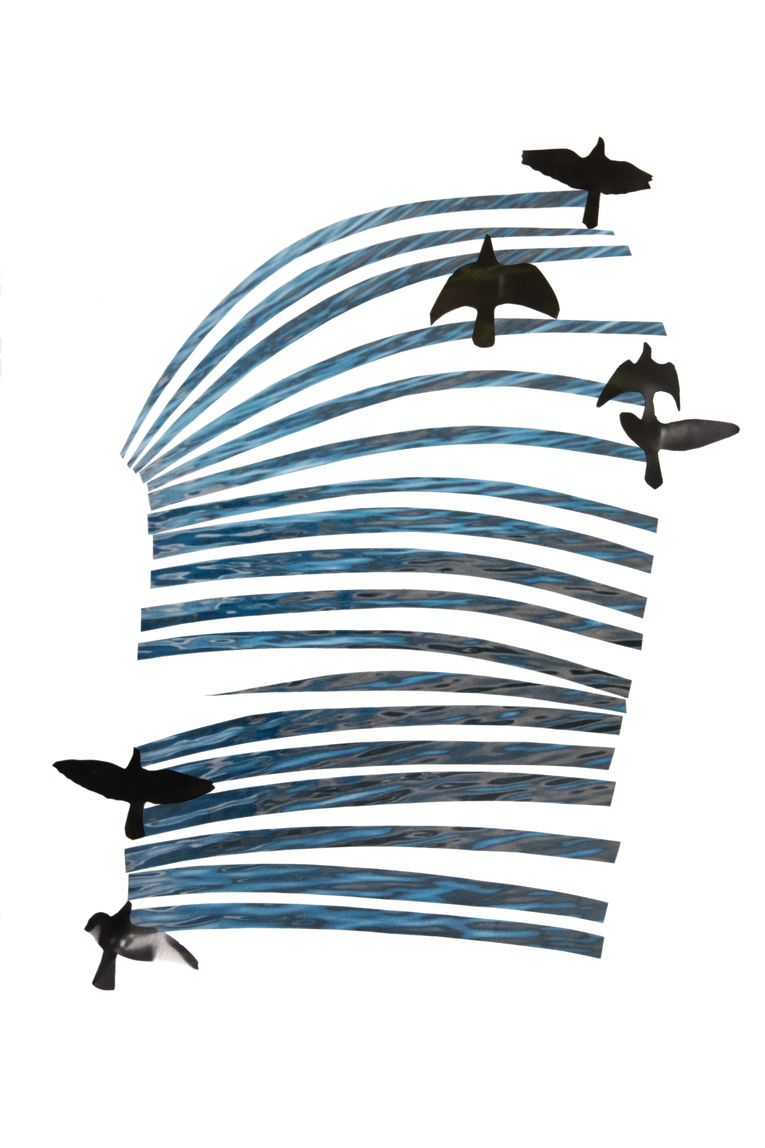Learning to Fly, 2026 | 14"x20" Framed
$580