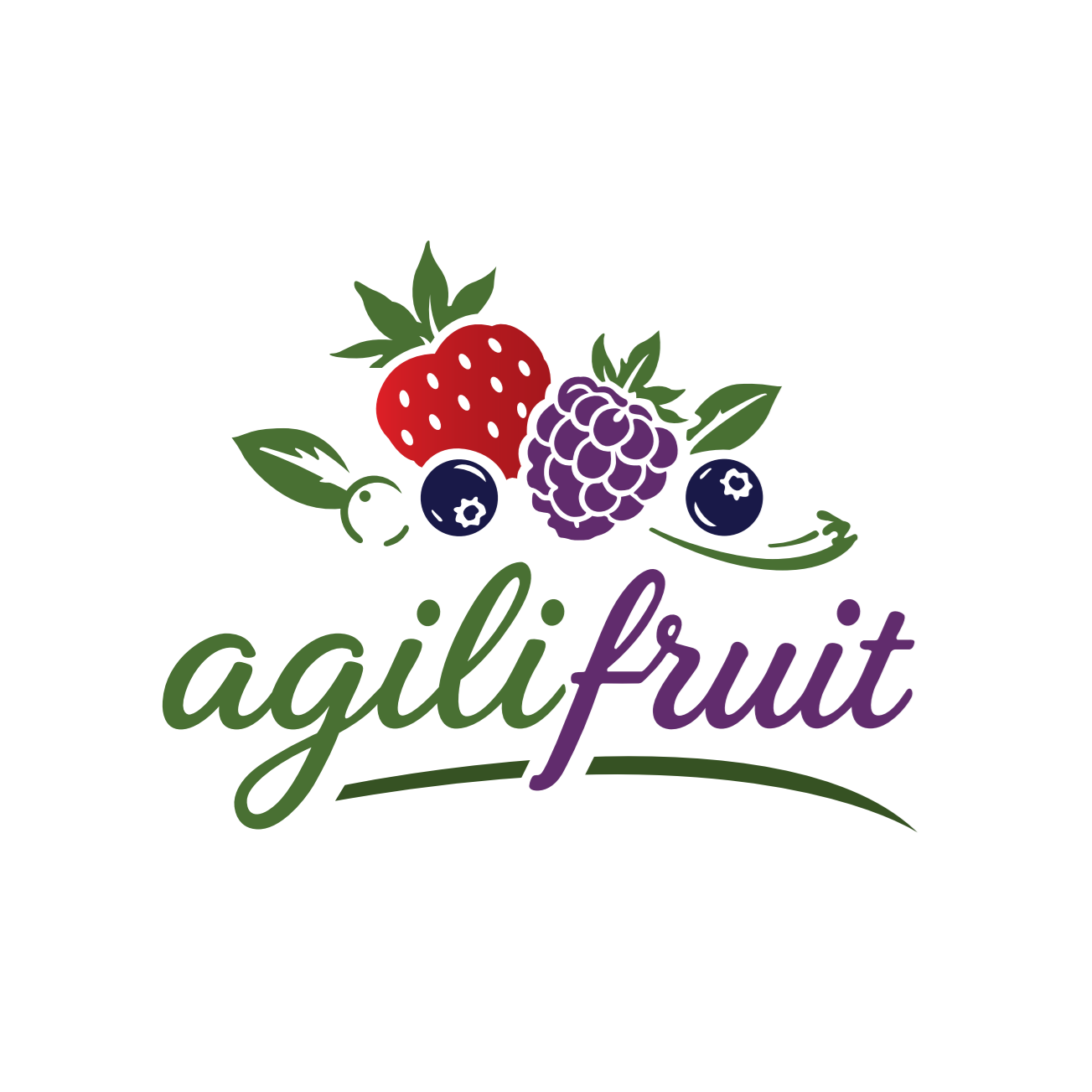 agilifruit carre.png