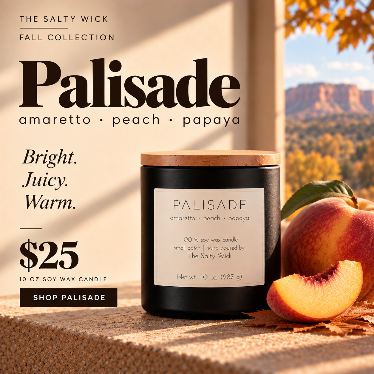 Palisade Ad (3).png