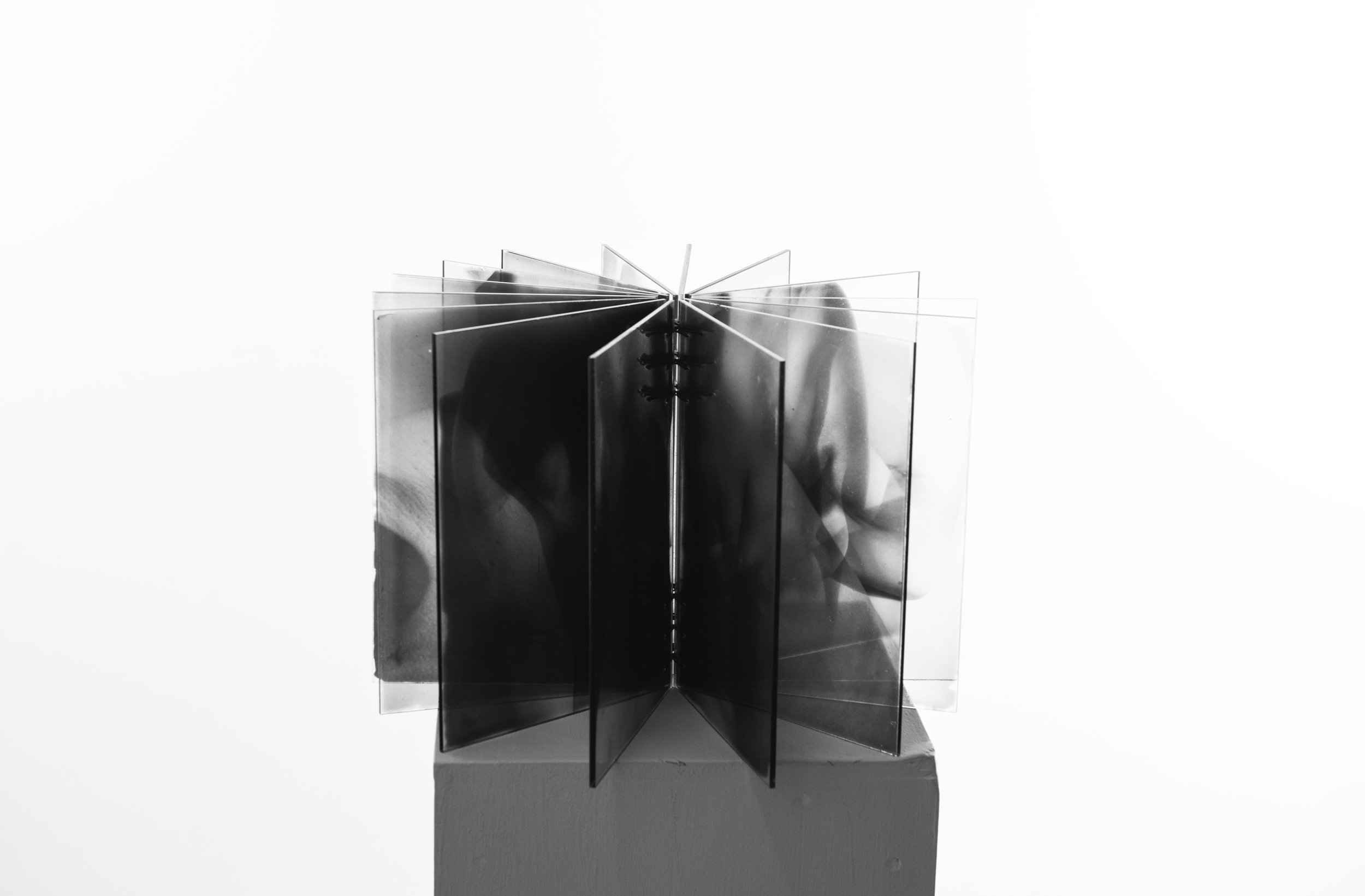 Anatomy of flesh: Book Top