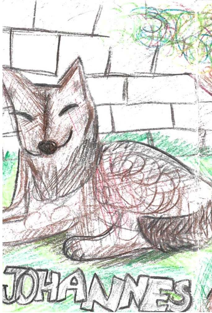 Screenshot 2026-02-10 at 11.44.41 AM.jpg