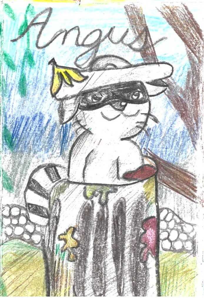 Screenshot 2026-02-10 at 11.44.58 AM.jpg