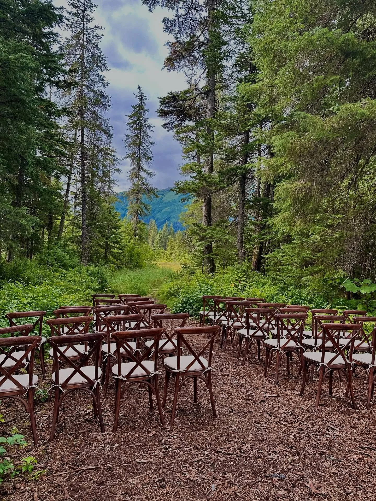 An outdoor wedding starts from the ground up &mdash; and the right chairs set the tone. 
Because every &lsquo;I do&rsquo; deserves a beautiful view and a beautiful seat.✨

#thelovelyeventrentals #alaskaweddings #tablesandchairs #eventrentalsalaska #e