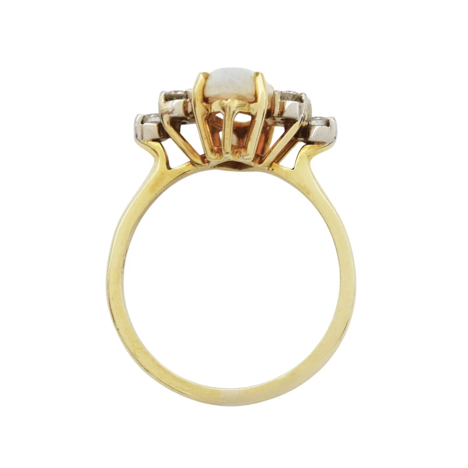 201-02482 (5)-Photoroom.jpg