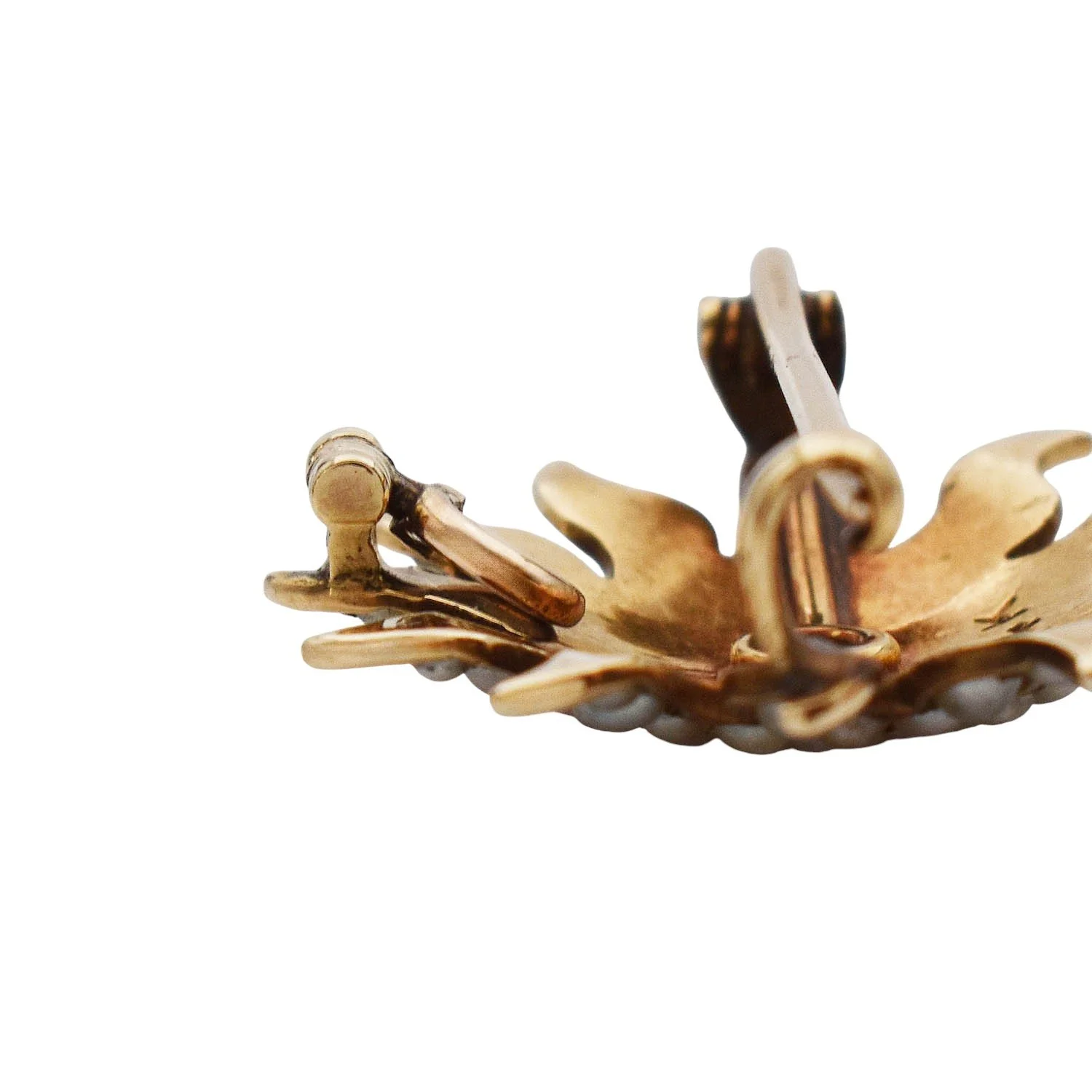 506-00035 (5)-Photoroom.jpg