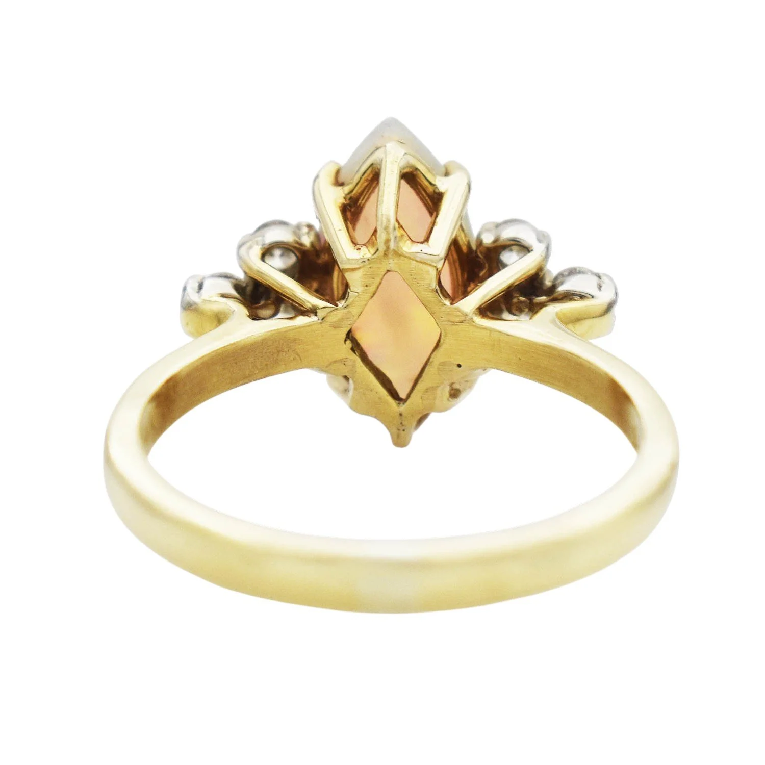 201-02482 (4)-Photoroom.jpg