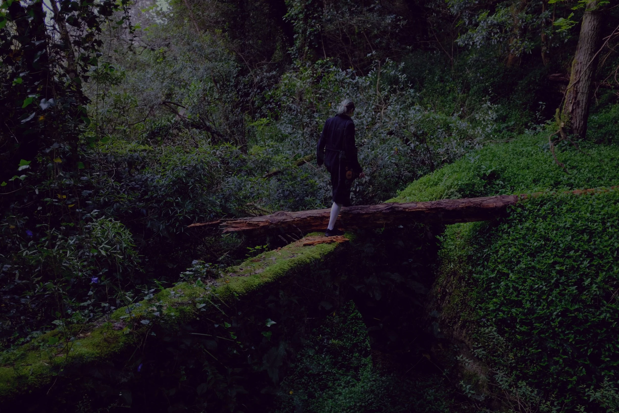 A person walking on a moss-covered fallen tree in a dense green forest.