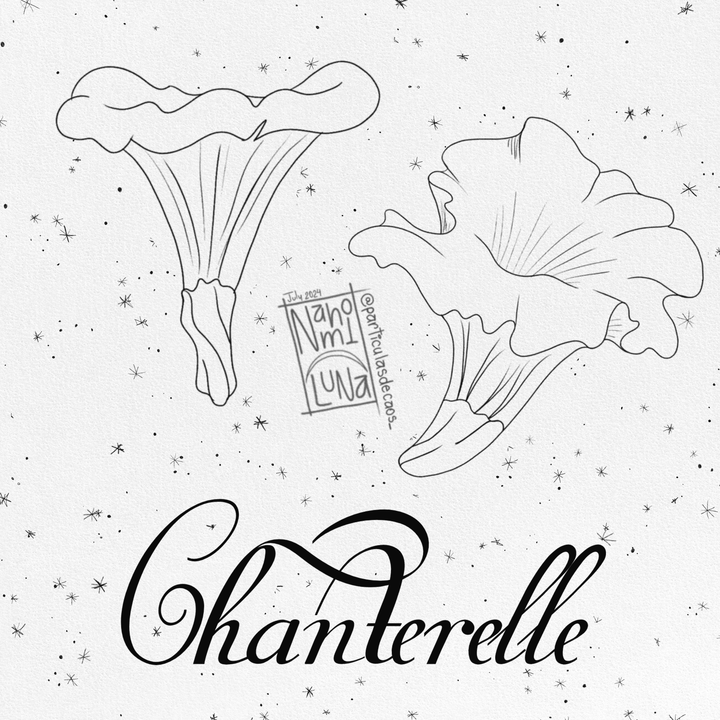 Flores de primavera por nahomi luna  (5).PNG